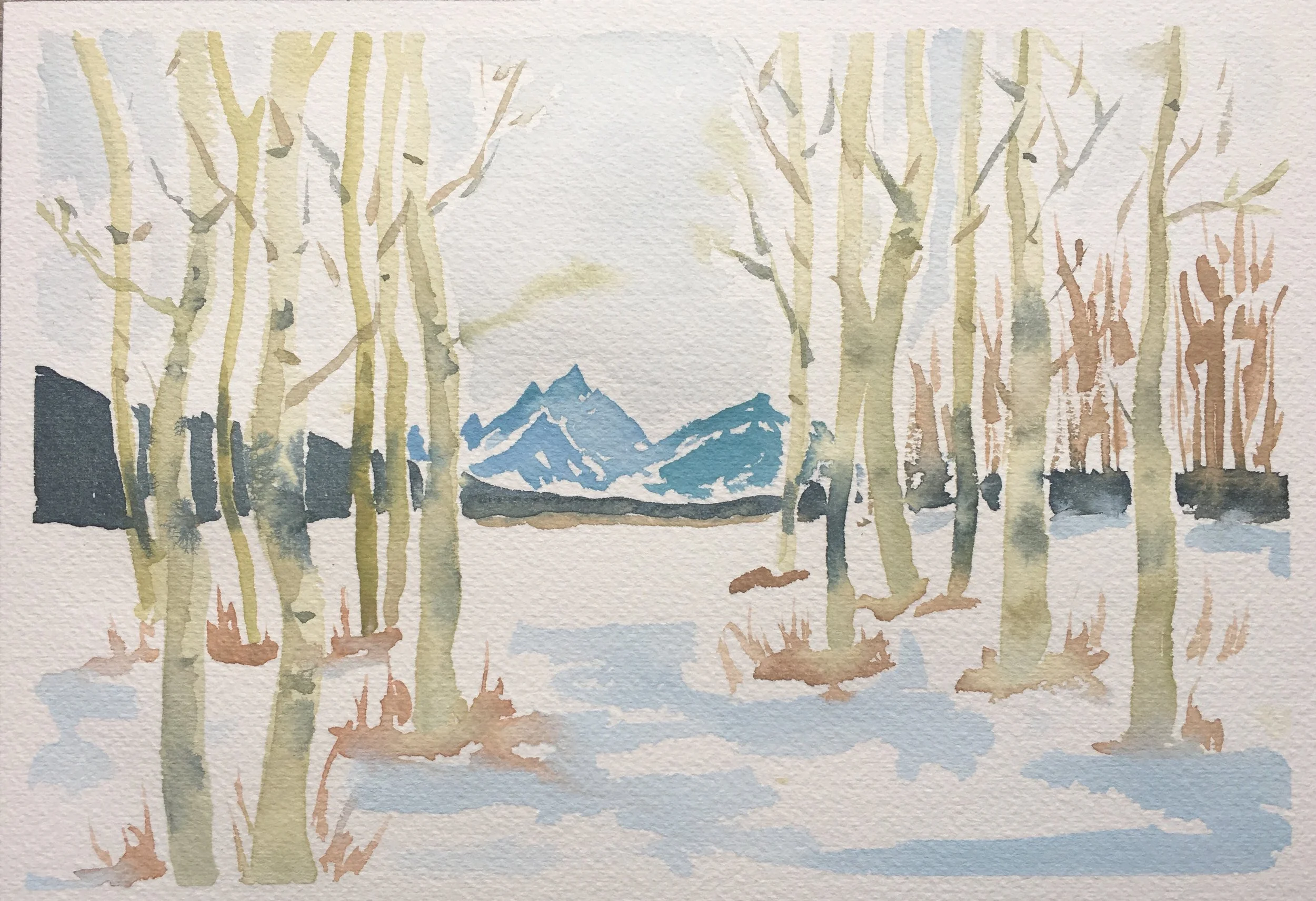 #16 - Jackson Lake Junction