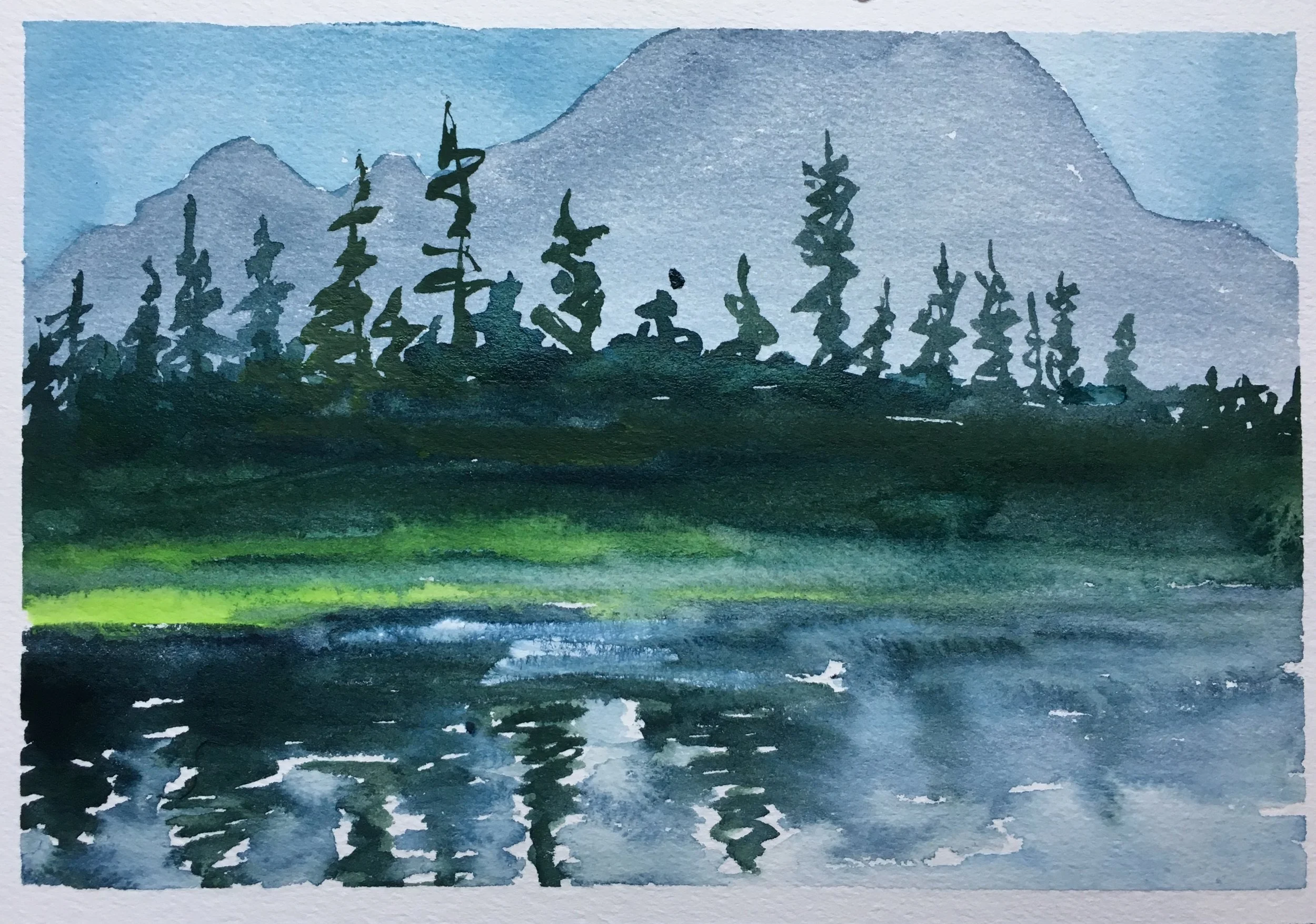 #138 - Skinny Tree Reflection