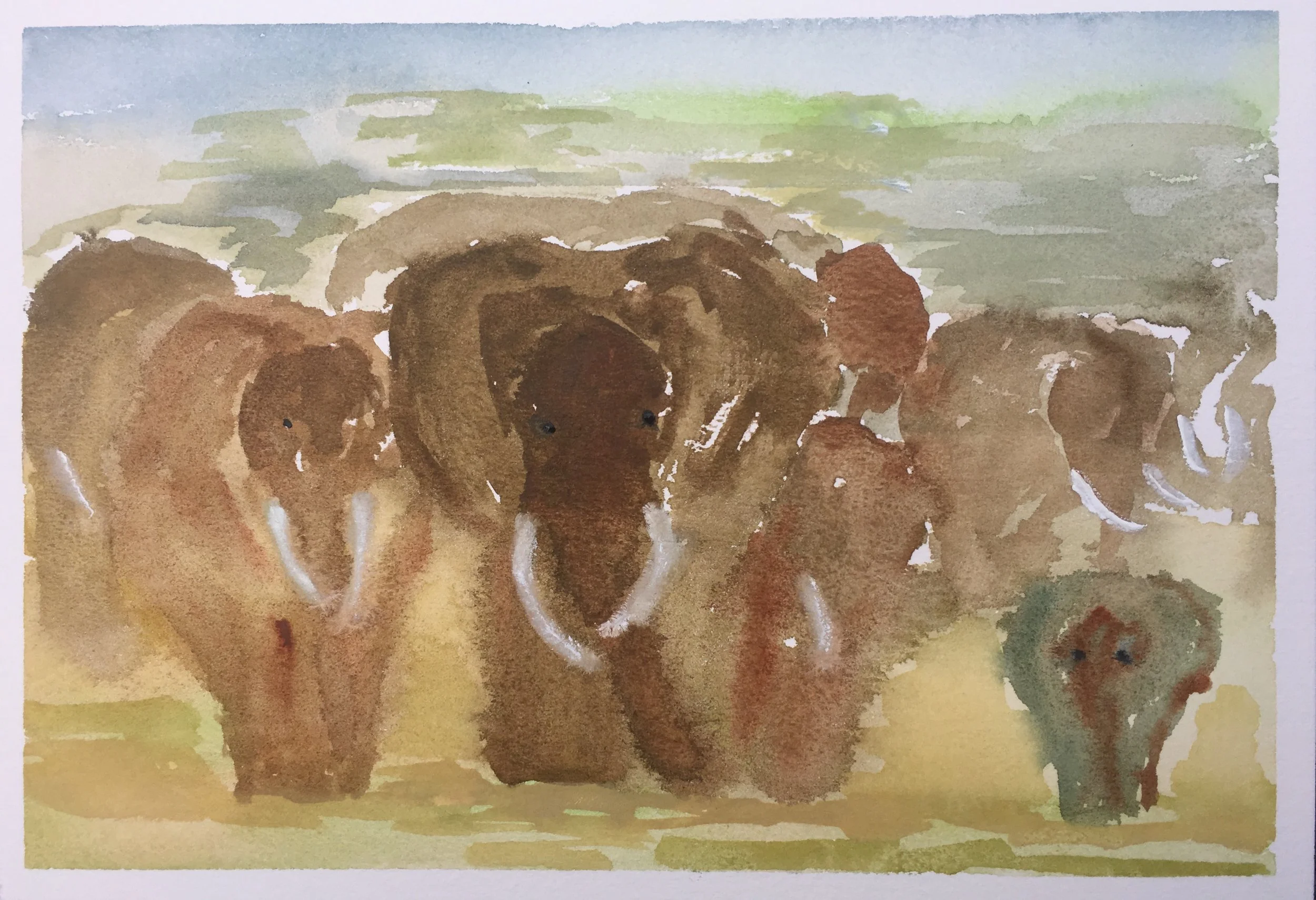 #139 - World Elephant Day