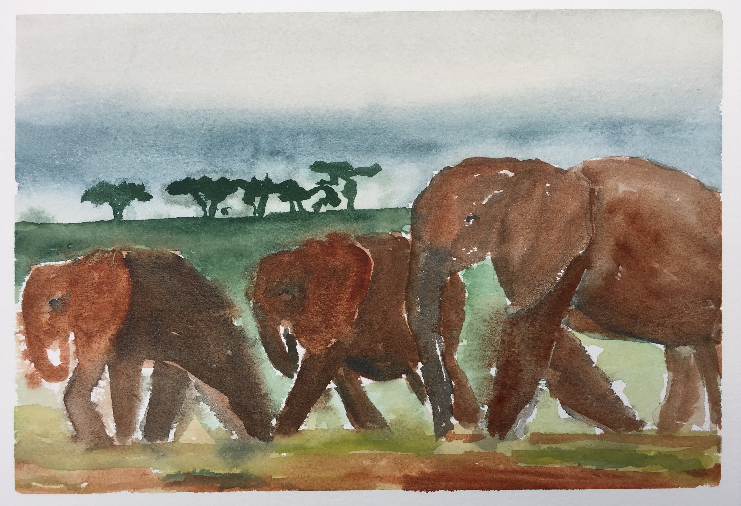 #140 - Tsavo Elephants
