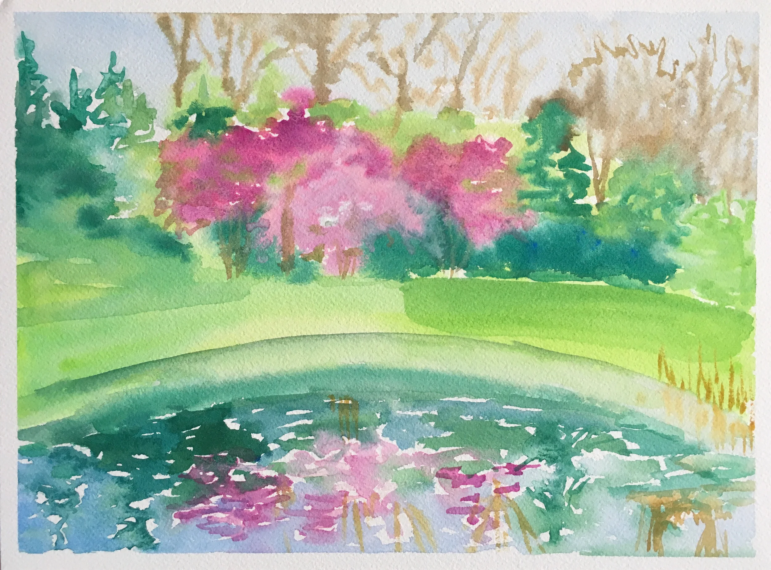 #34 - My Friend's Garden