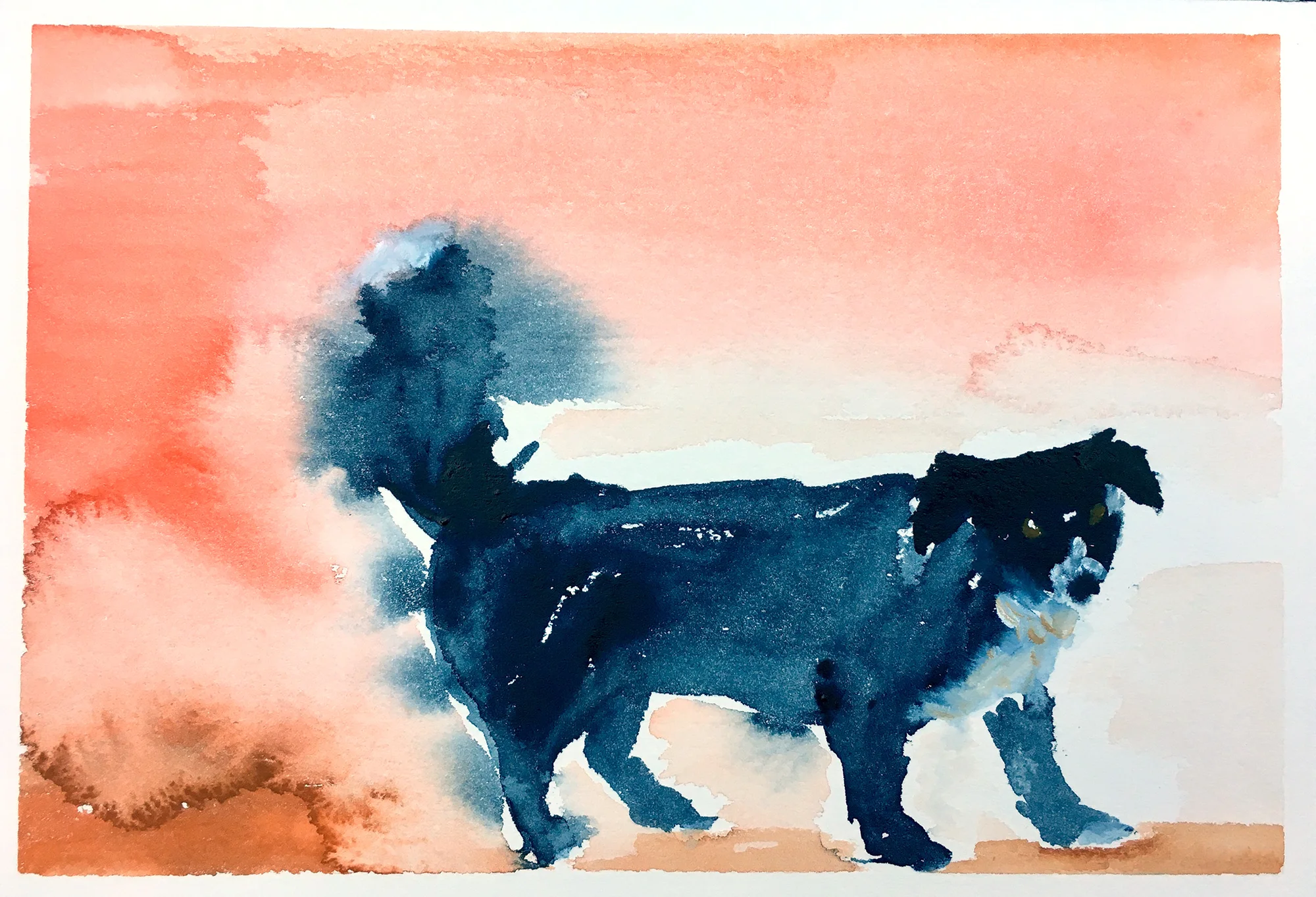 #145 - Happy Birthday Skye