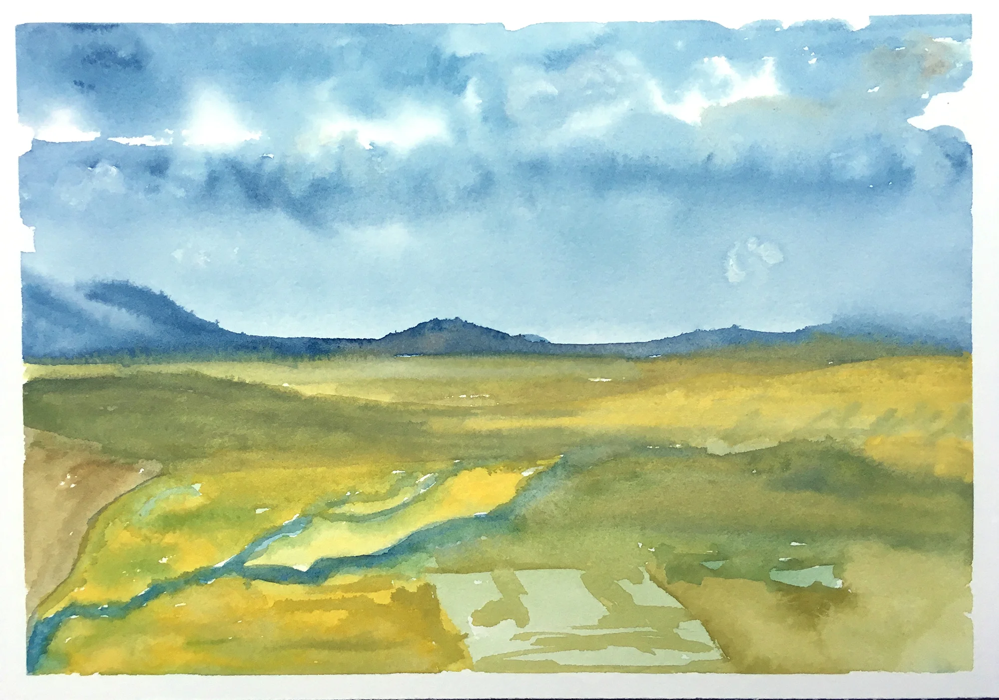 #169 - The Elk Refuge Turning Yellow