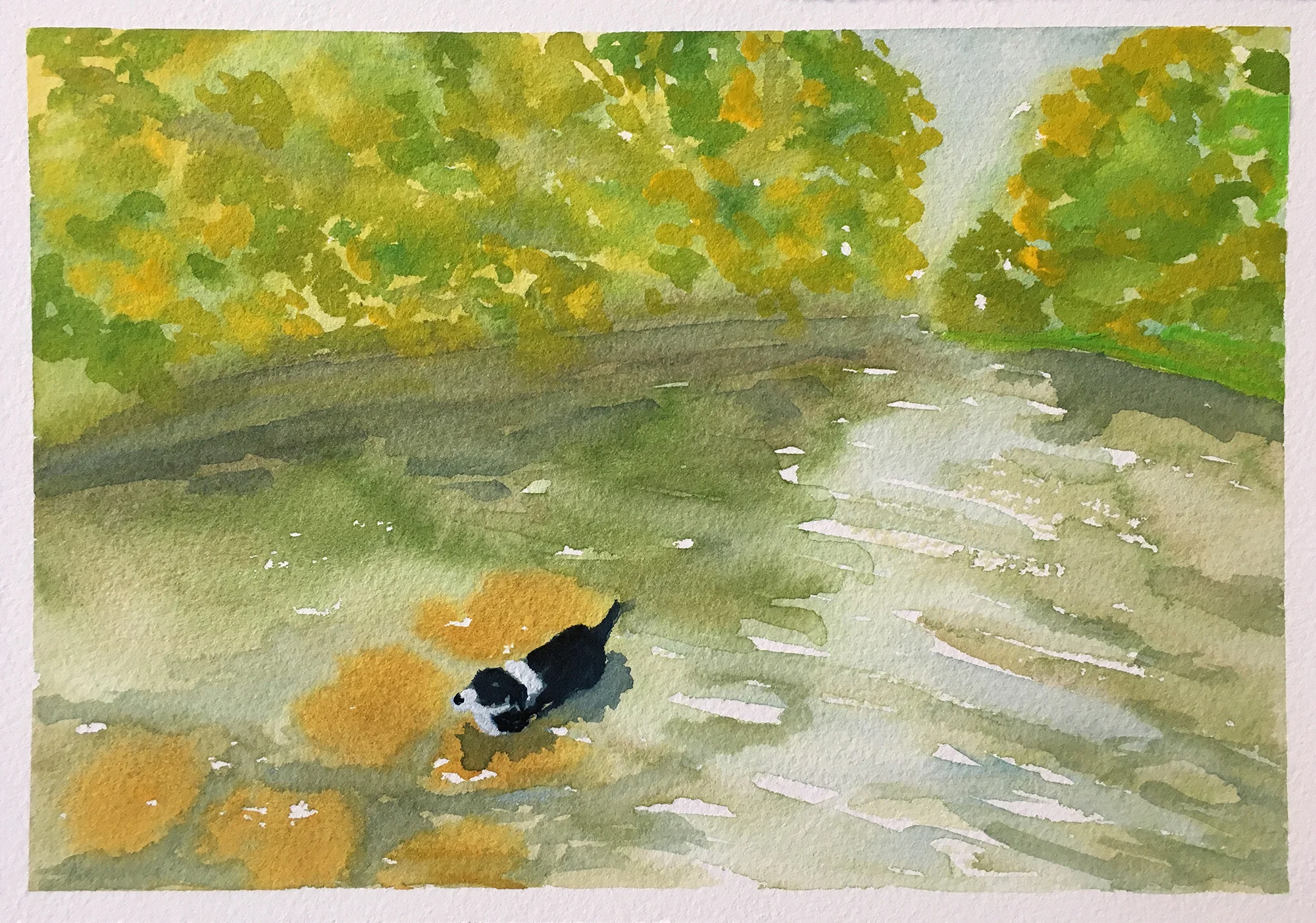 #170 - After the Hike