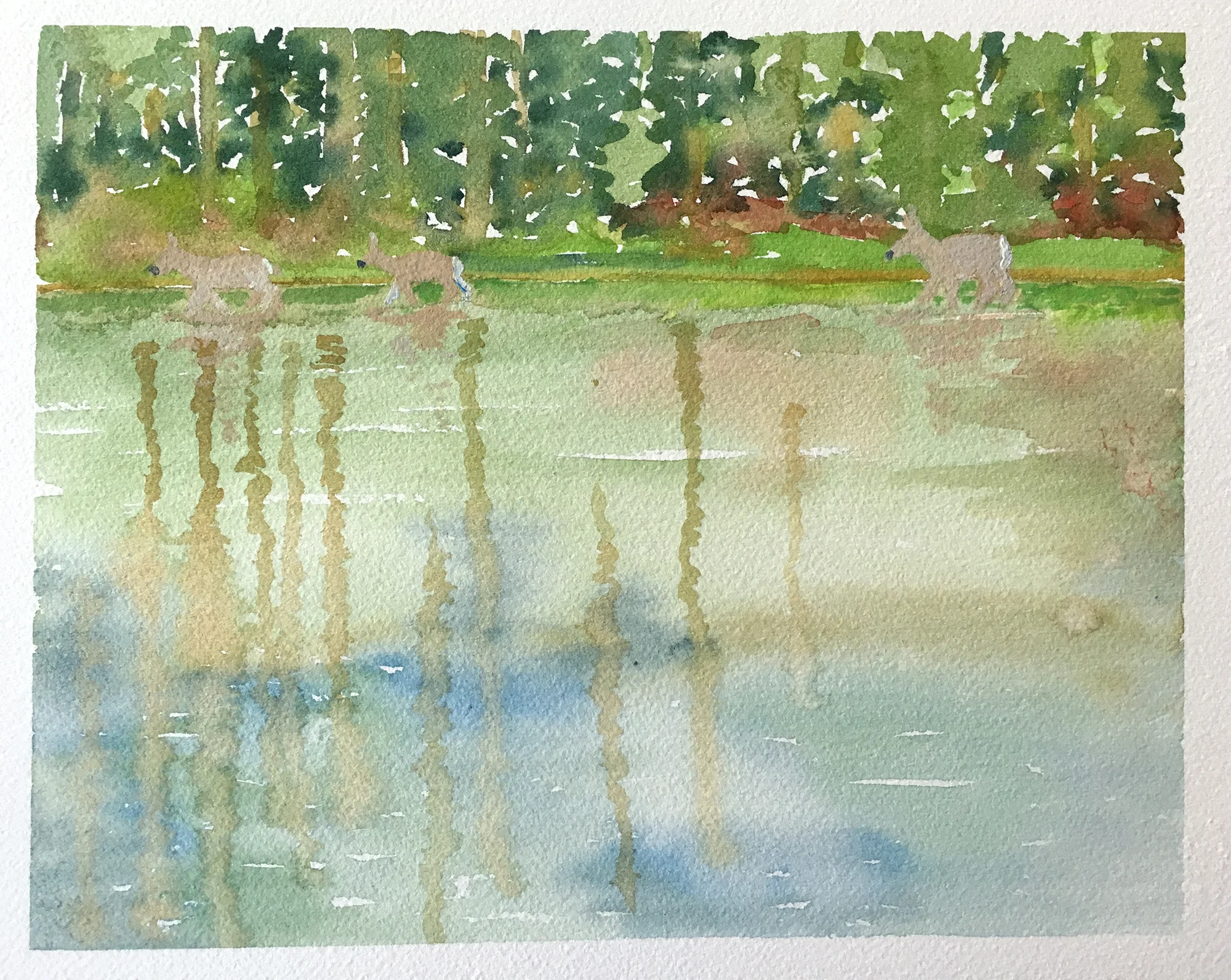 #171 - Deer Reflected in String Lake