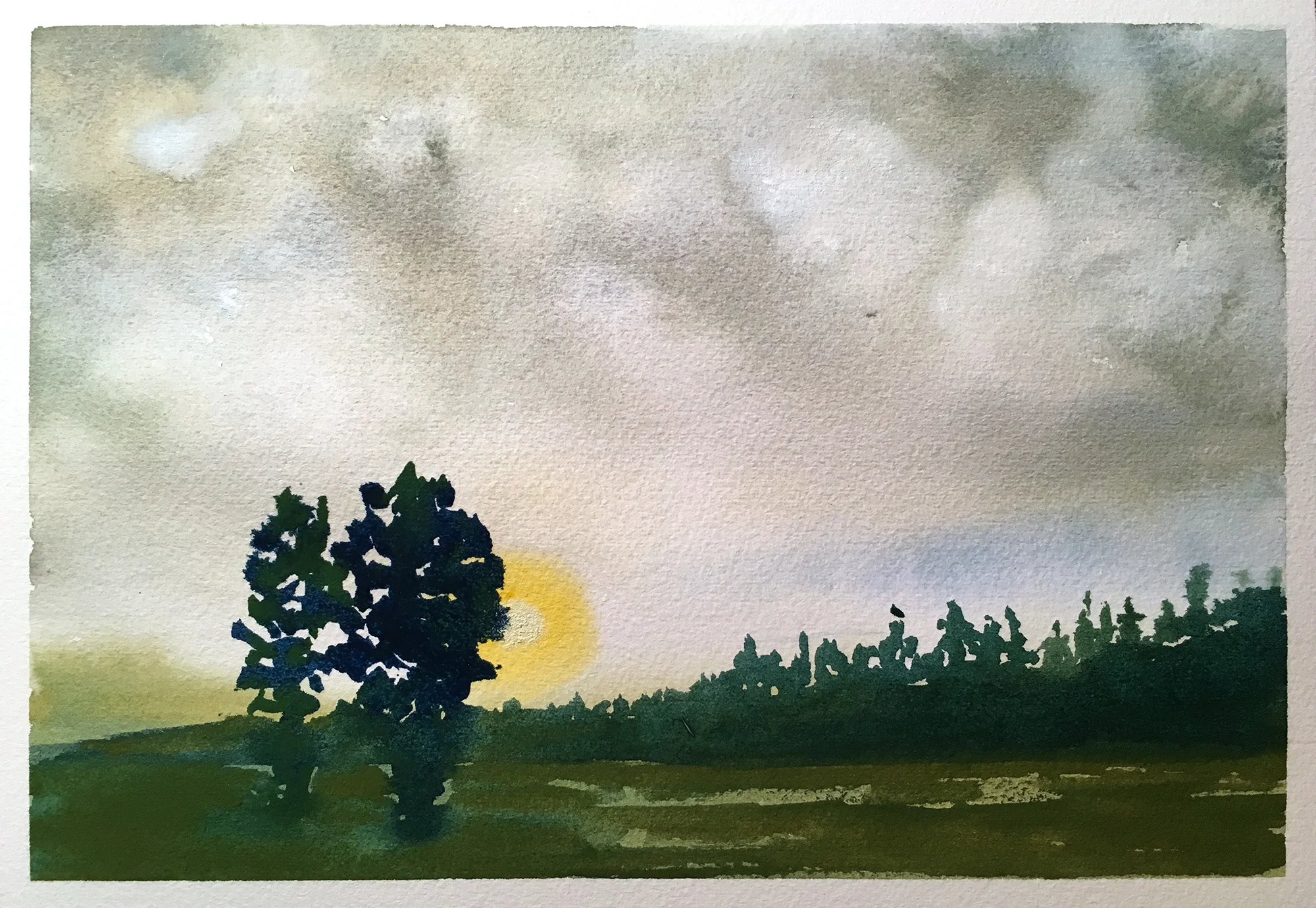 #182 - Foggy Sunrise