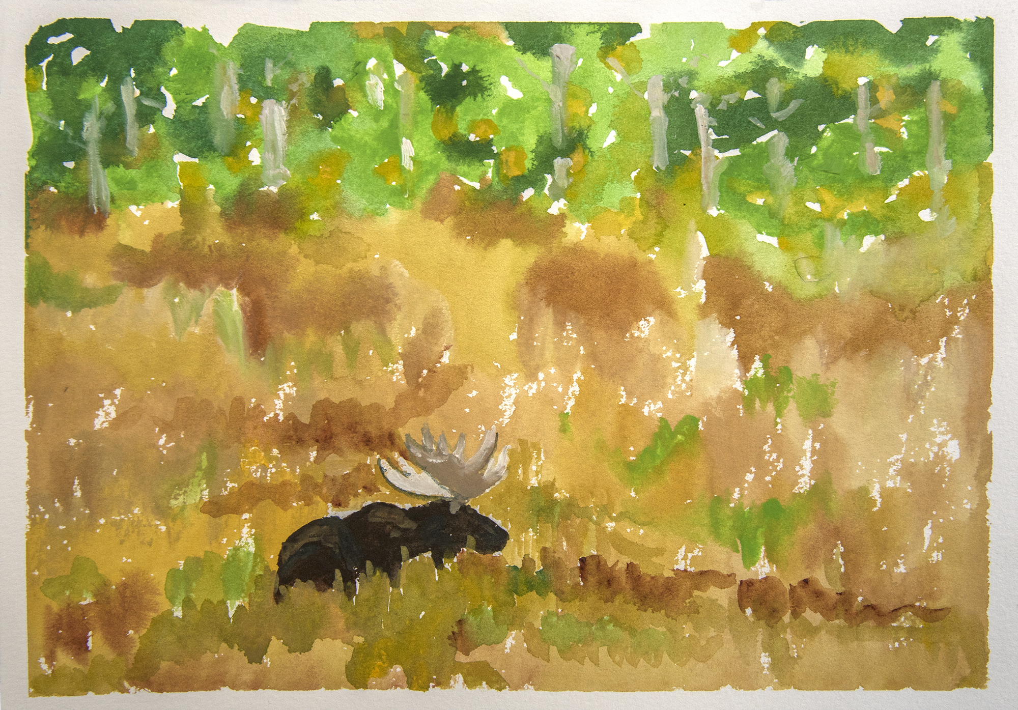 192_moose in Rut.jpg