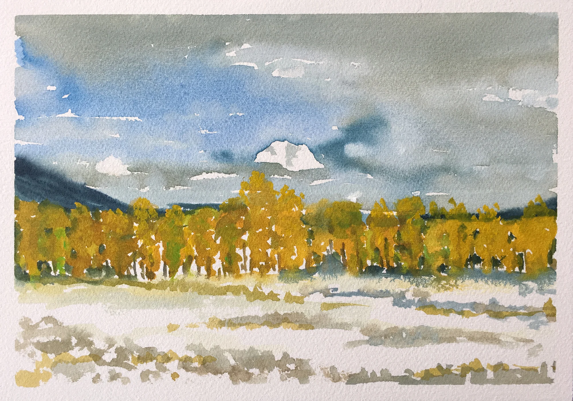 #193 - Mt. Moran Peeks Out