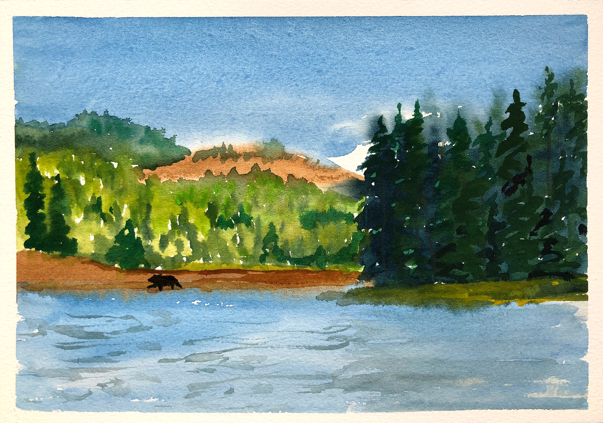 #196 - Grizzly Along the Snake