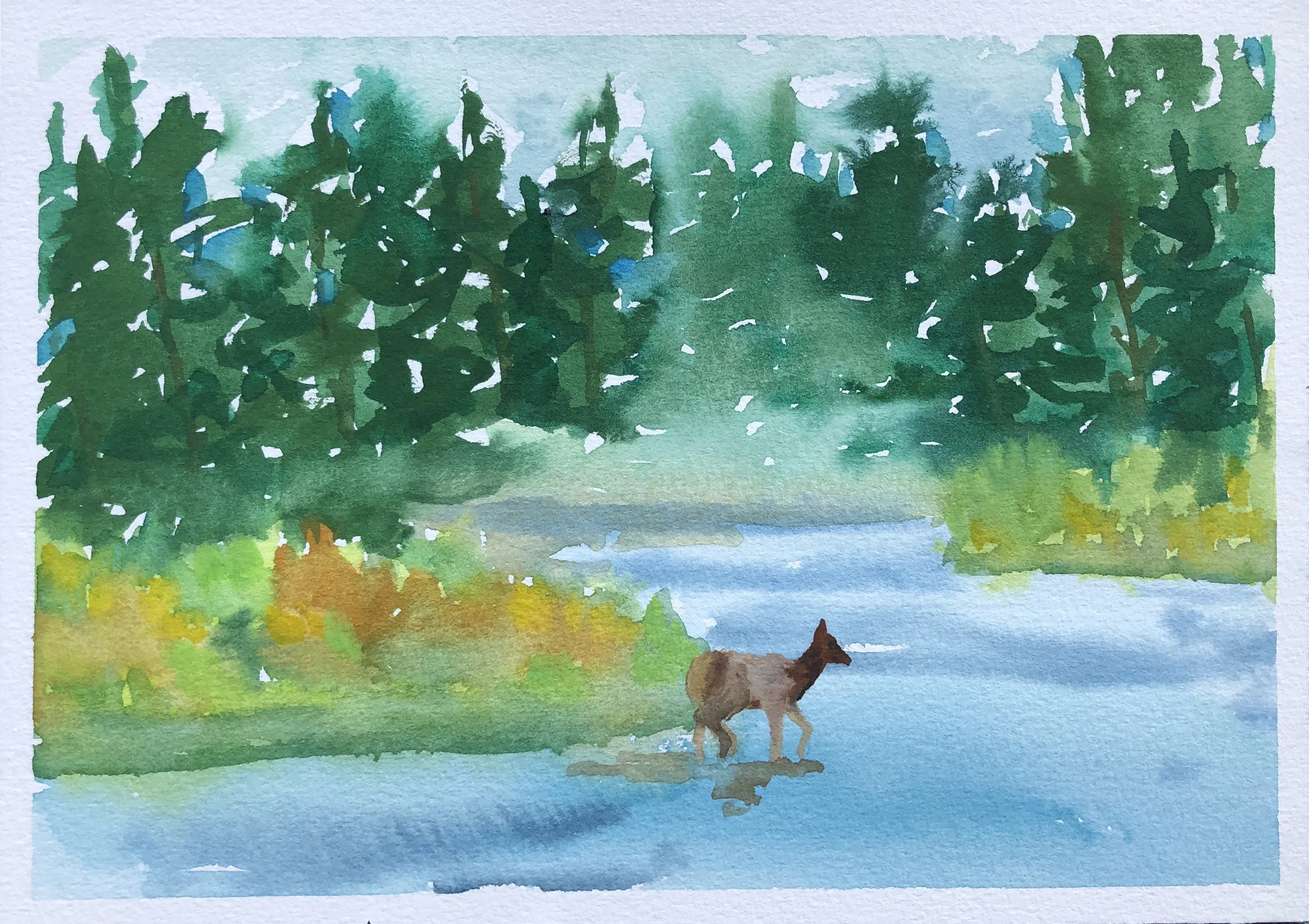 #199 - Elk Crossing the Snake