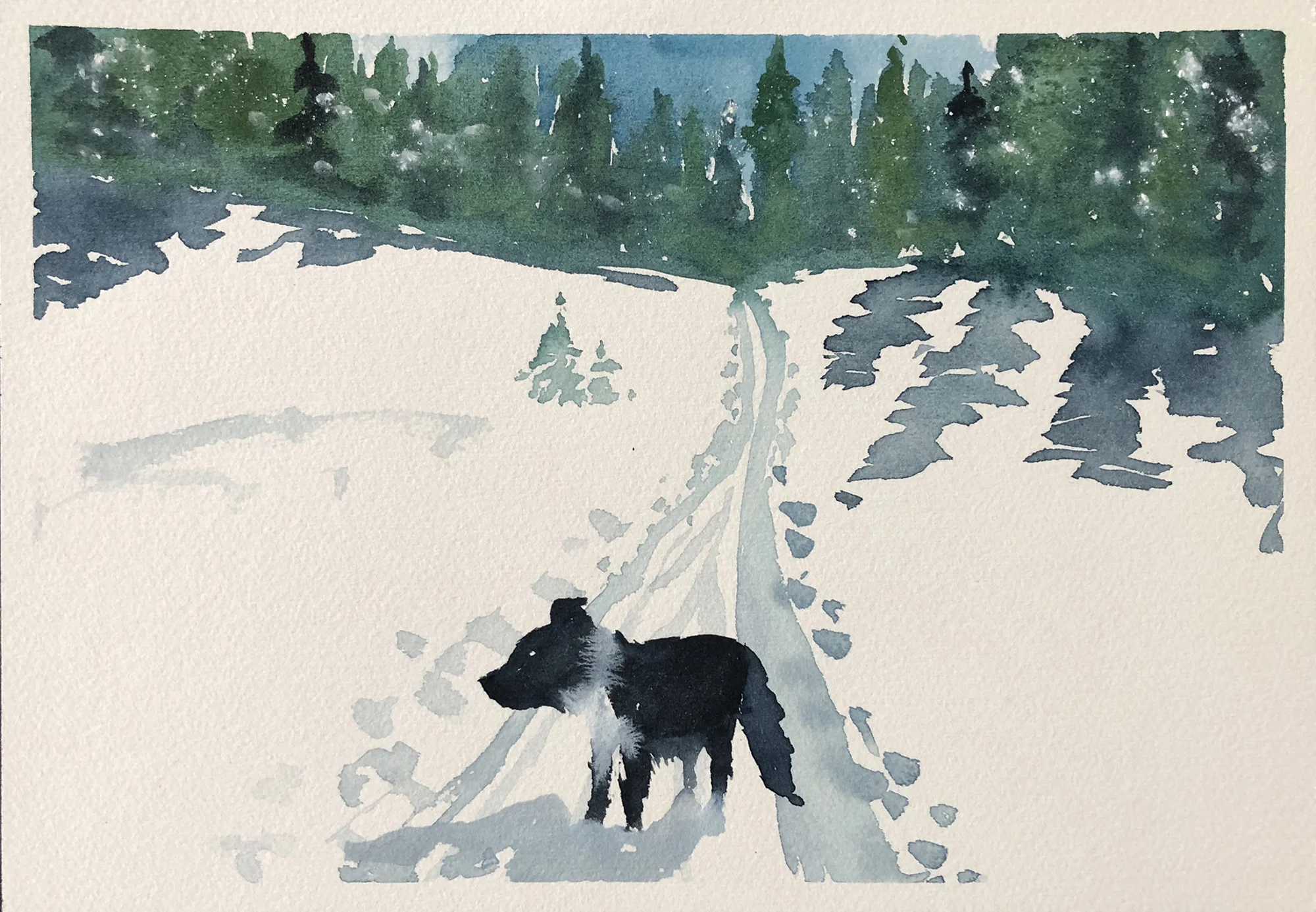 204_Skiing with Skye.jpg