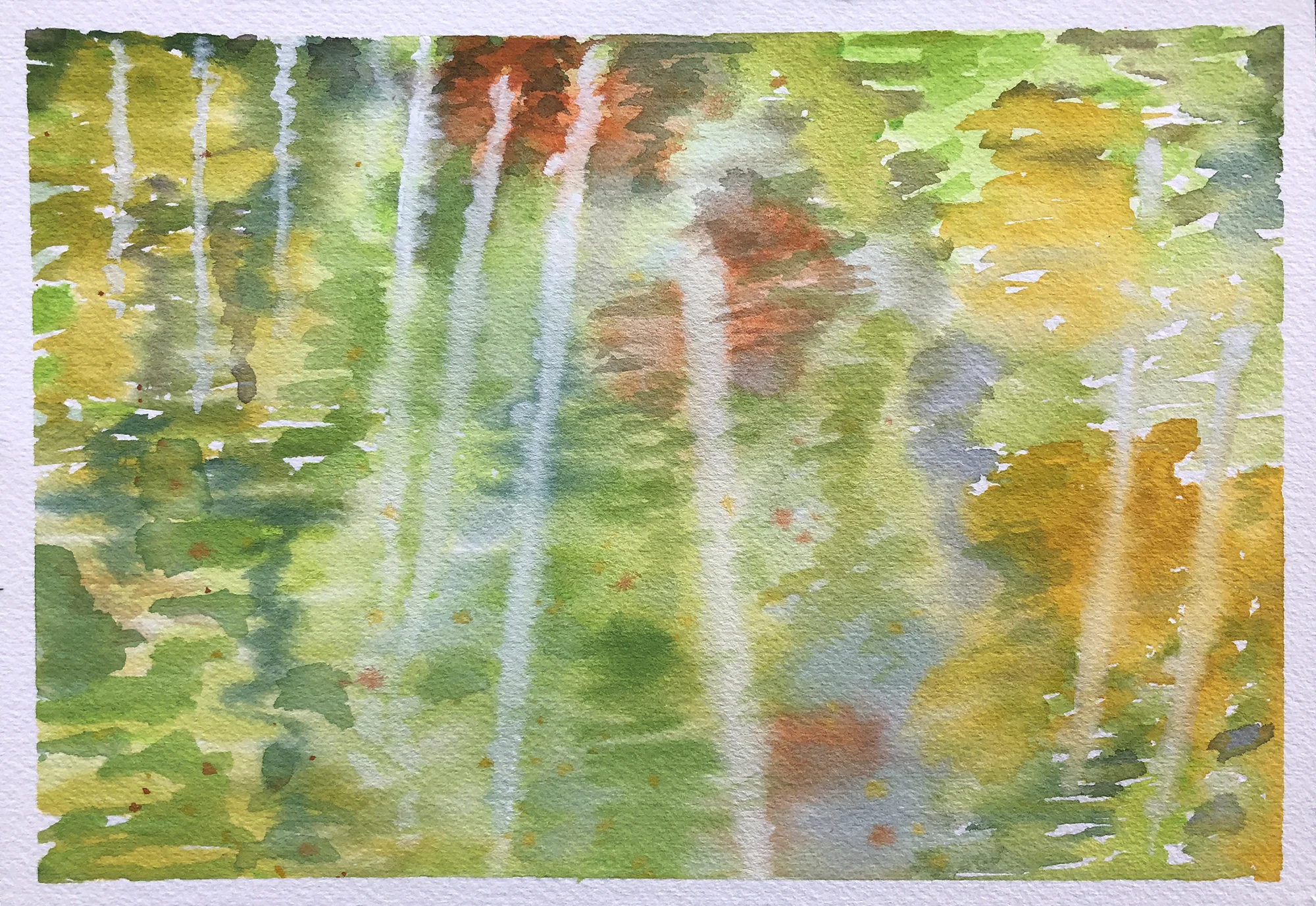 #207 - Adirondack Reflection