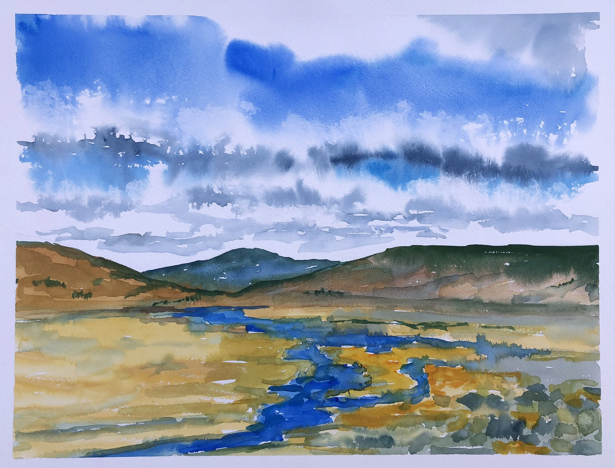 #211 - Hayden Valley