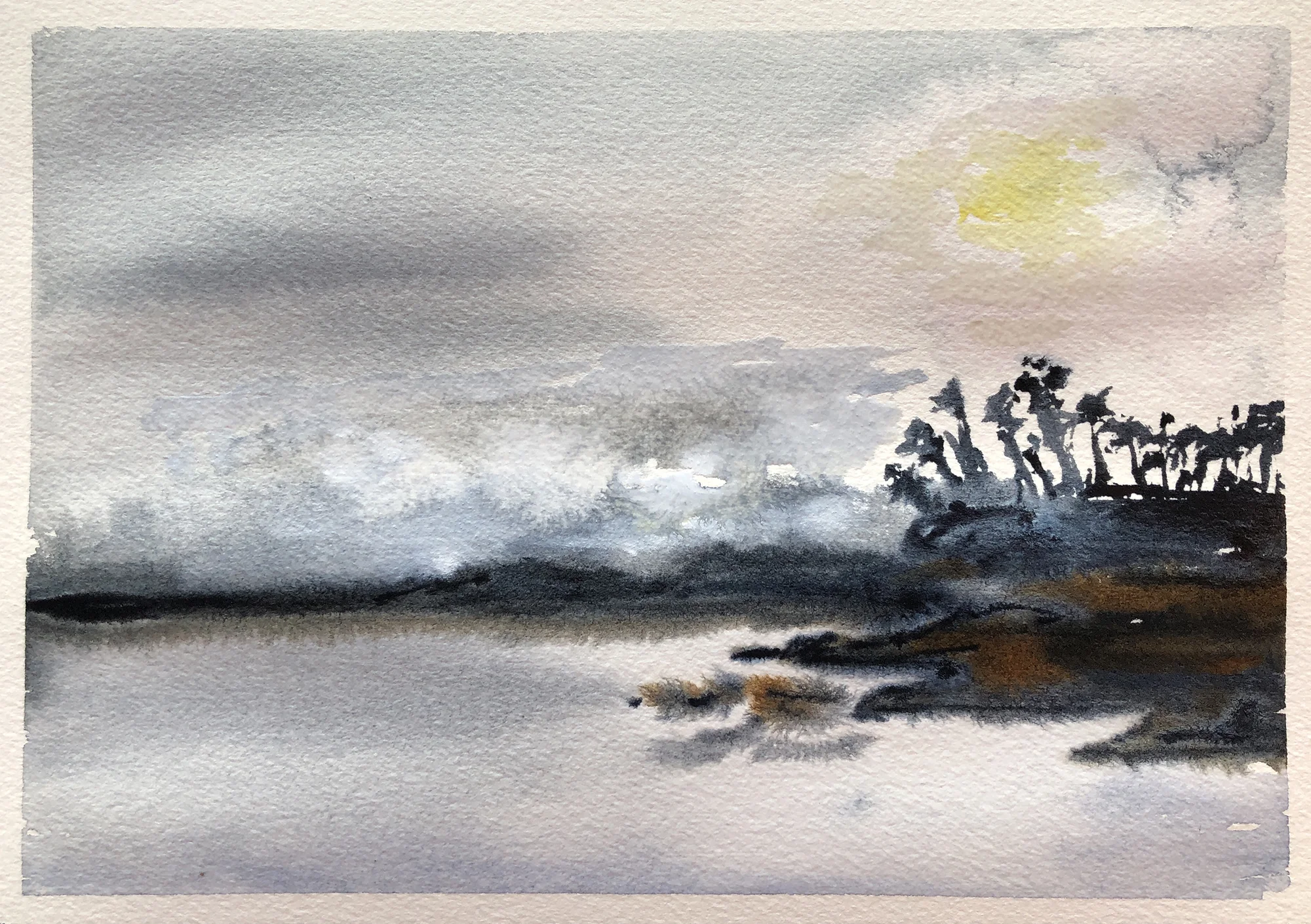 #216 - Fog at the Beach