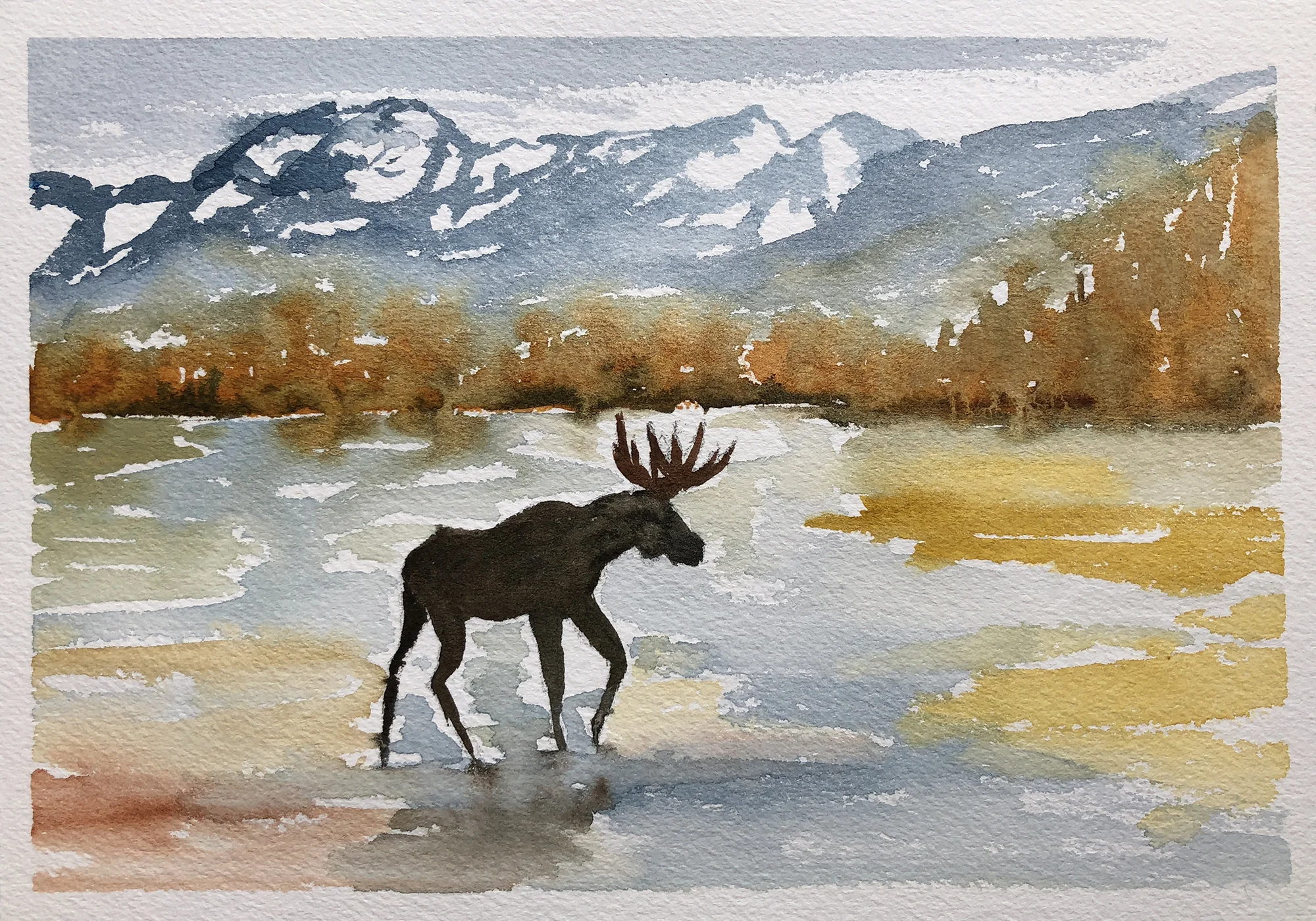 #222 - Moose Crossing the Gros Ventre