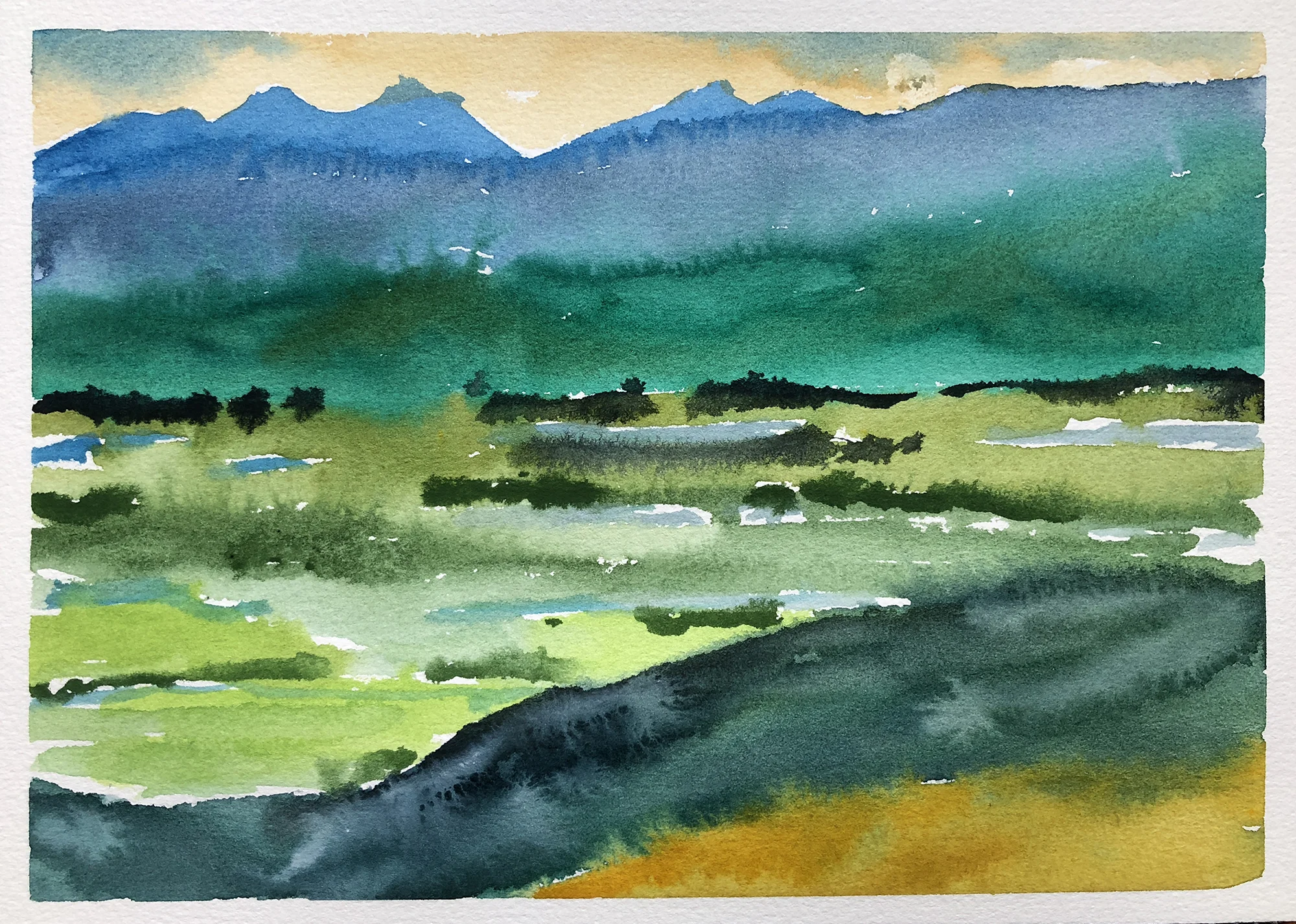 #226 - Looking South From Josie's Ridge