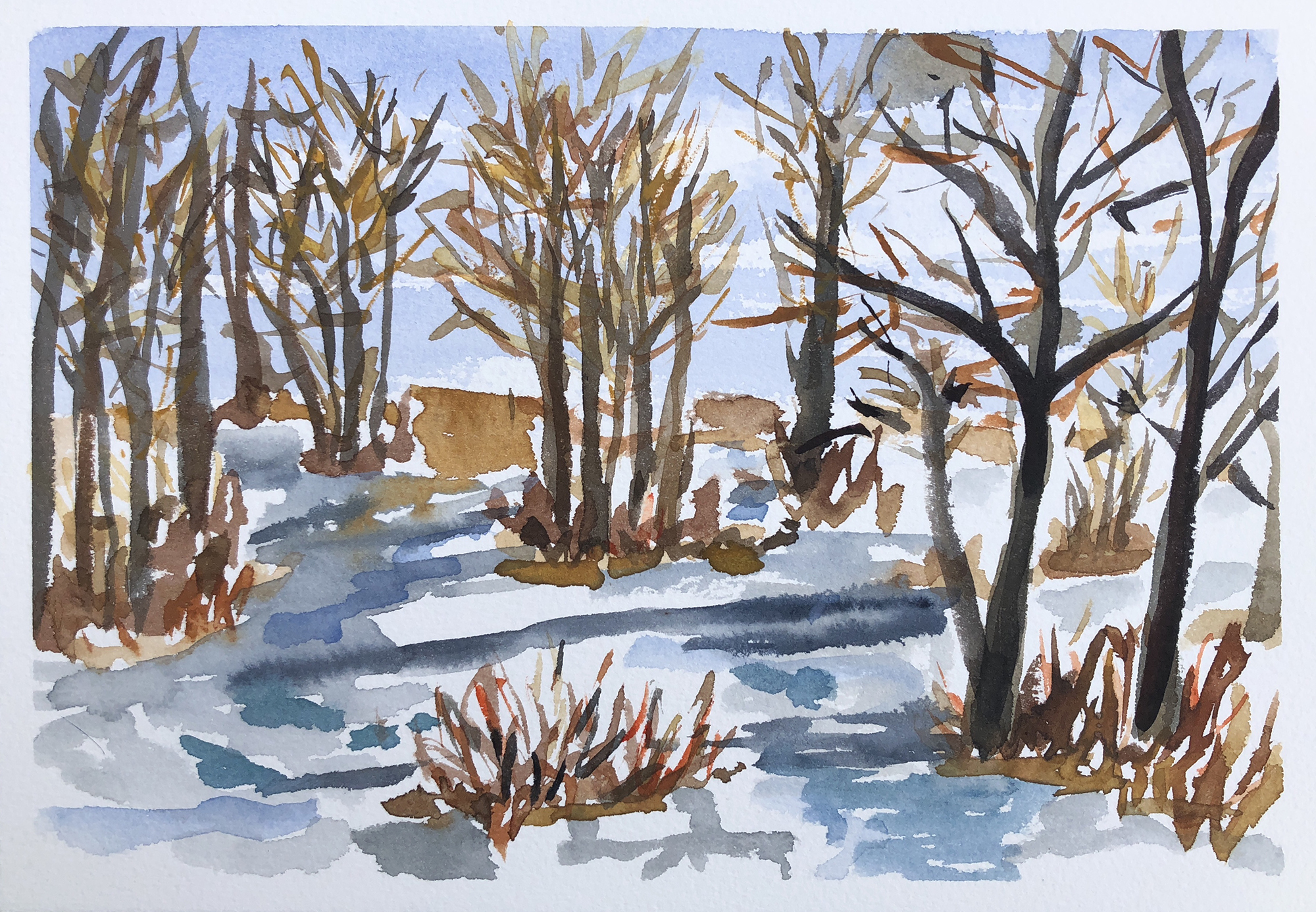 228_Ditch Creek.jpg