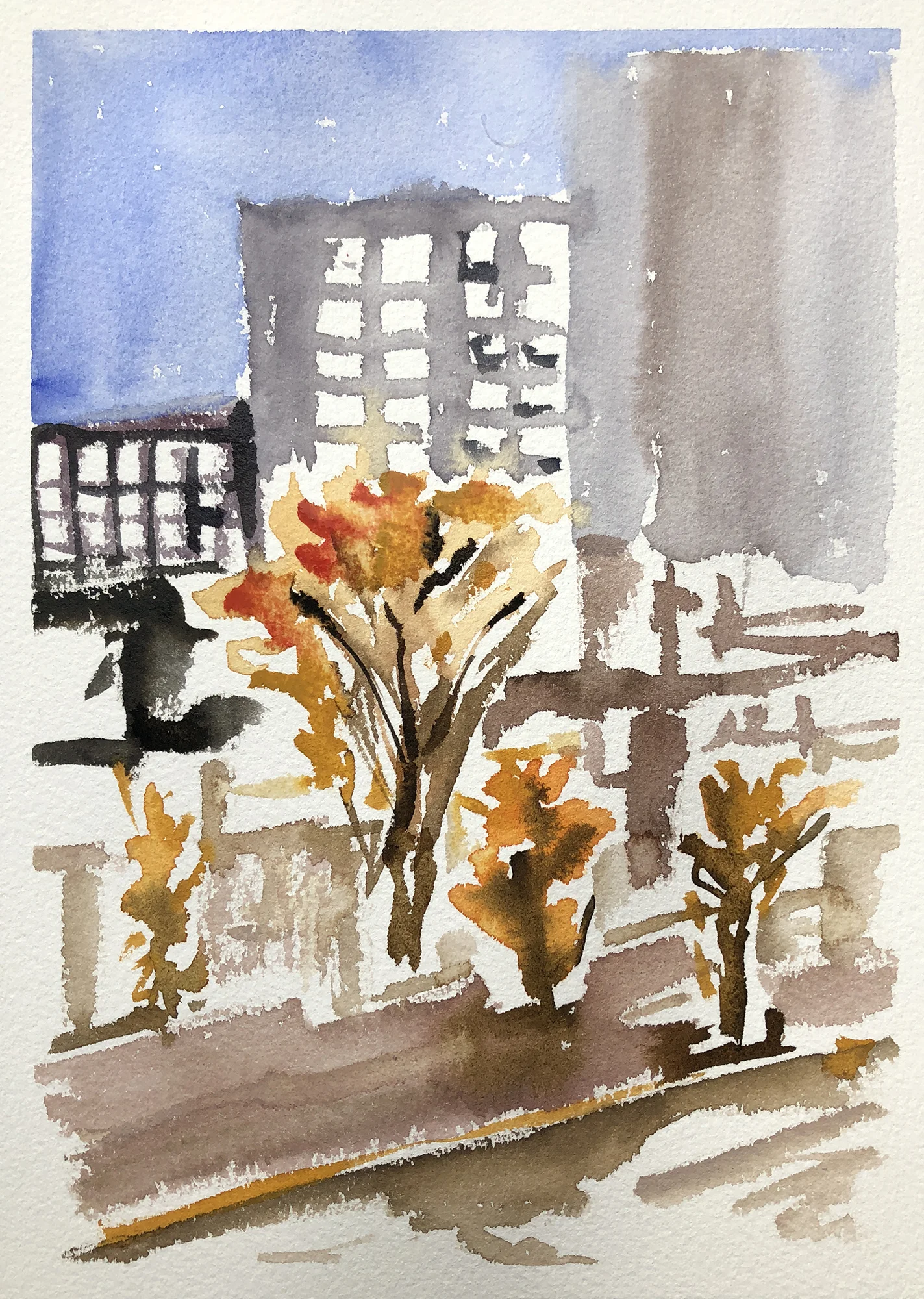 238_golden trees.jpg