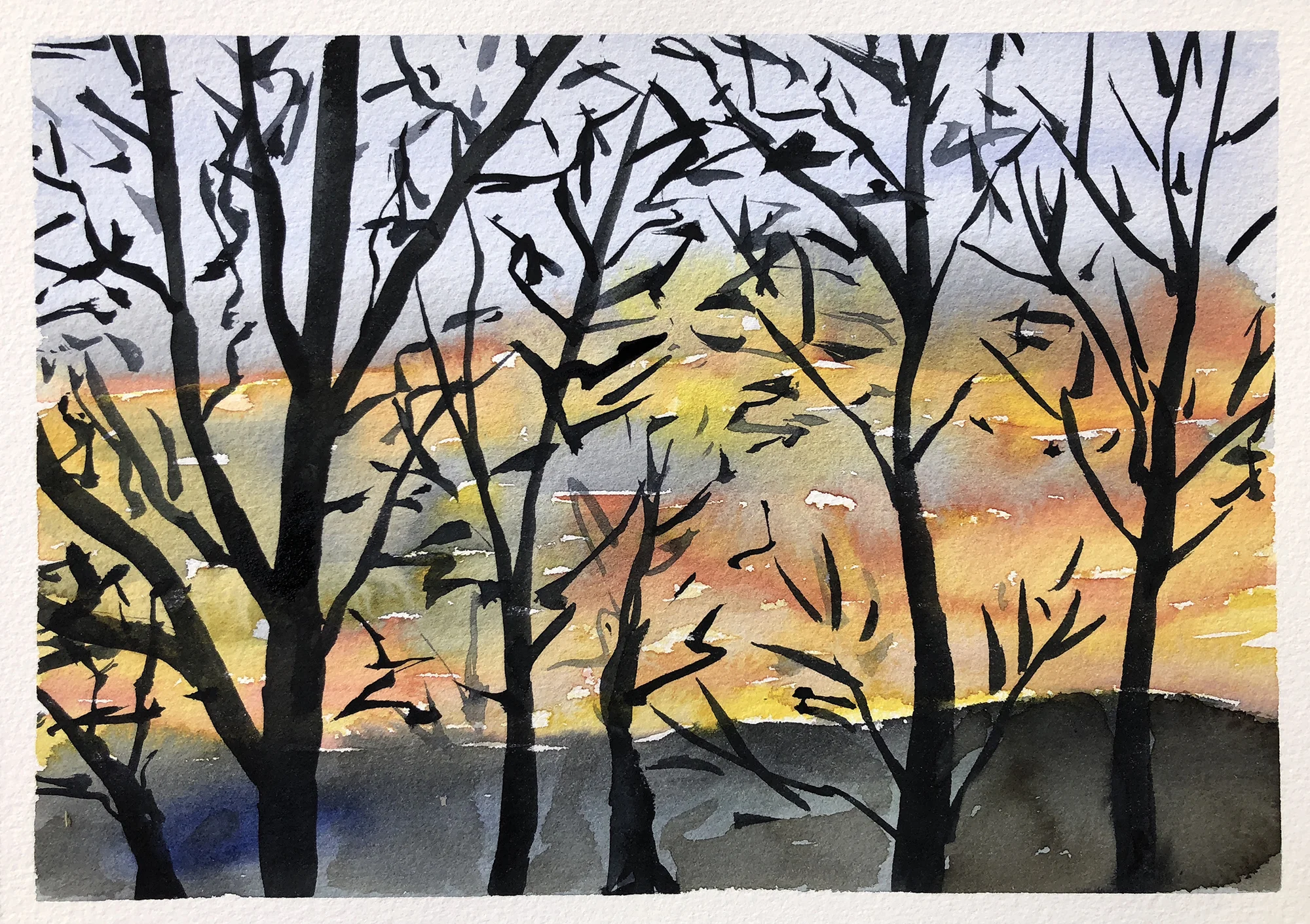 #242 - Thanksgiving Eve Sunset