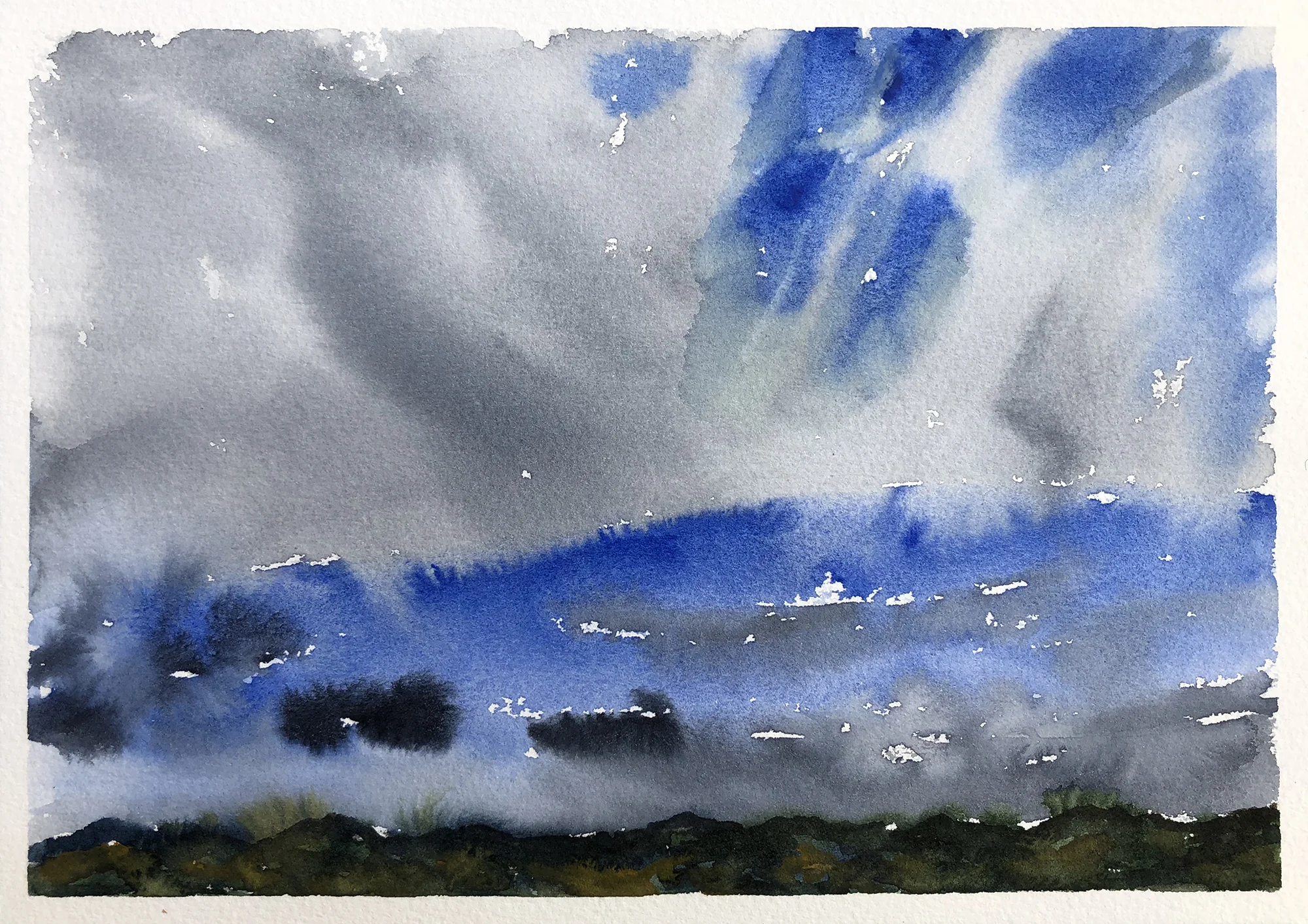 #243 - View From the Light Rail