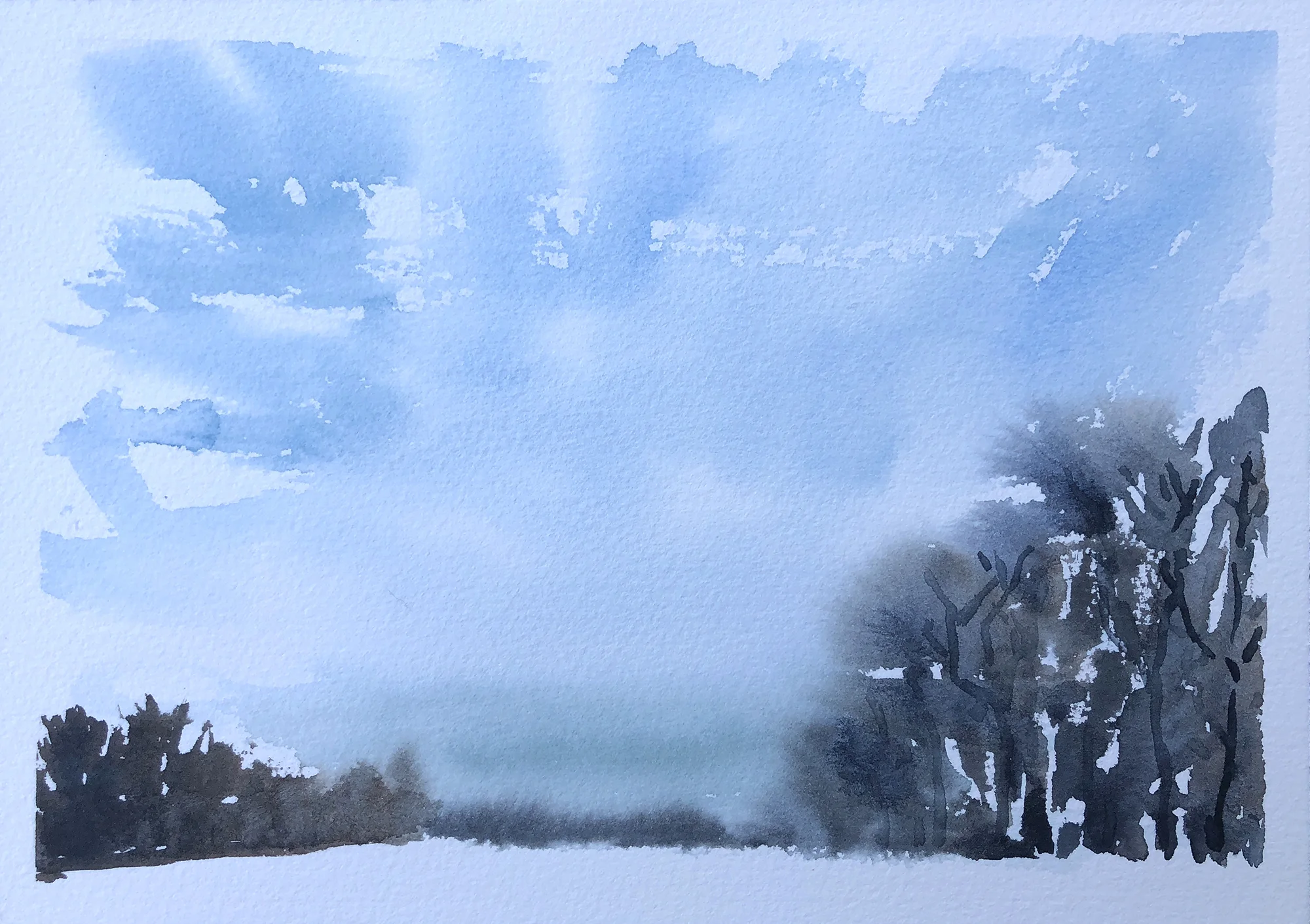 249_frosty morning.jpg