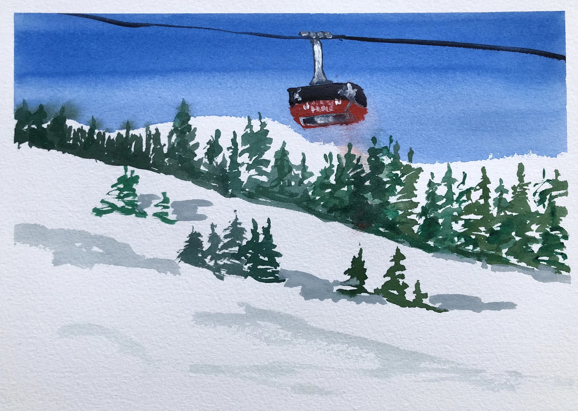 259_the tram.jpg