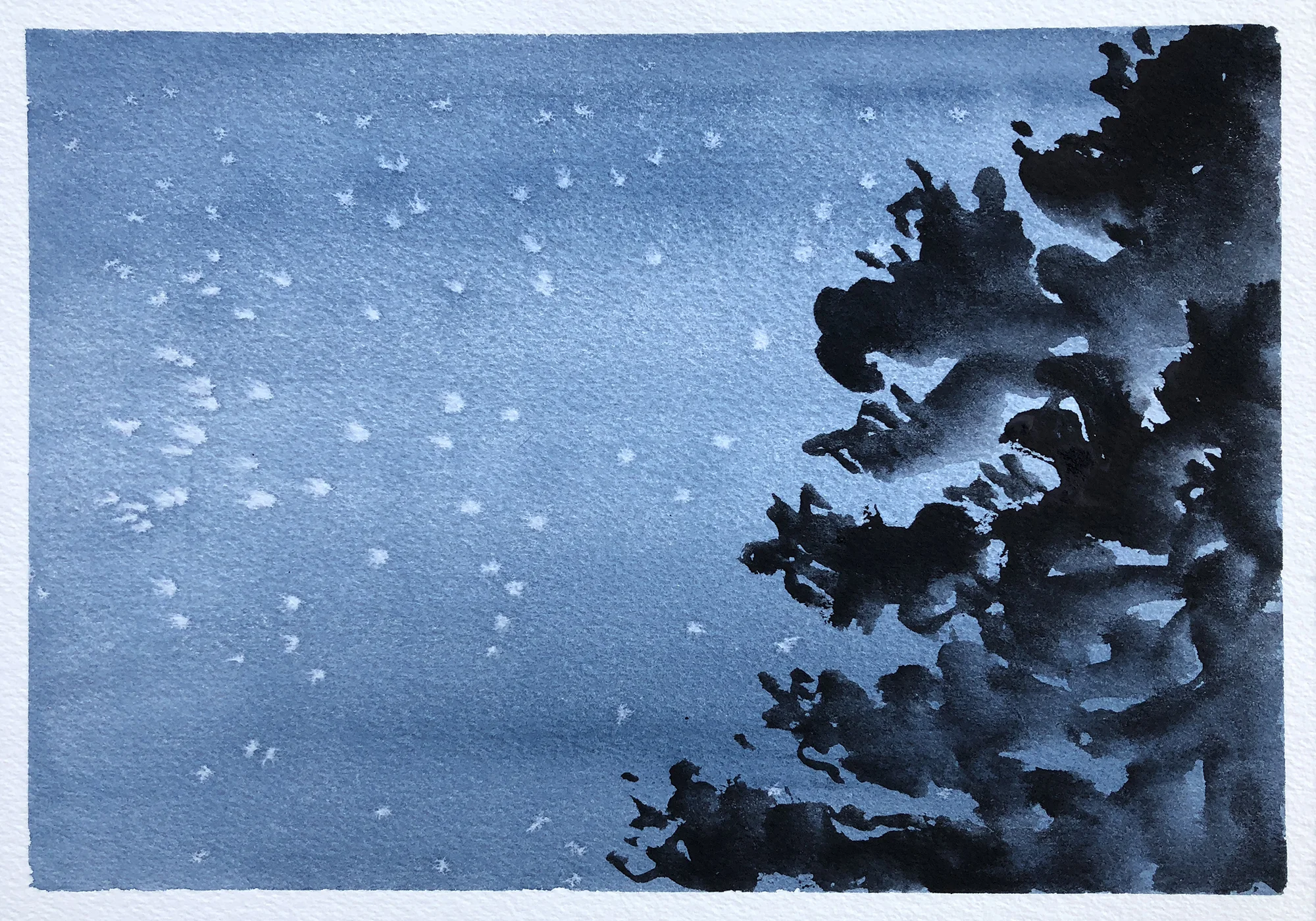 260_starry night.jpg