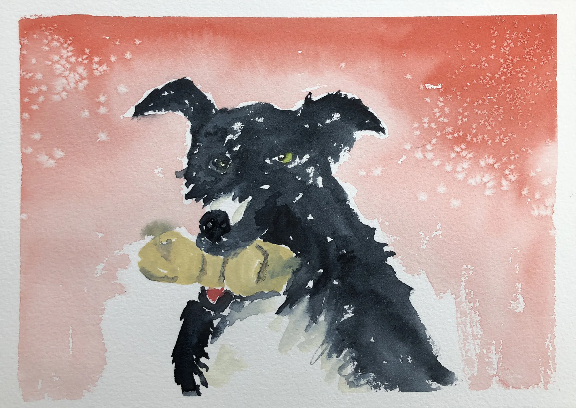 #268 - Skye Looks Good in Red