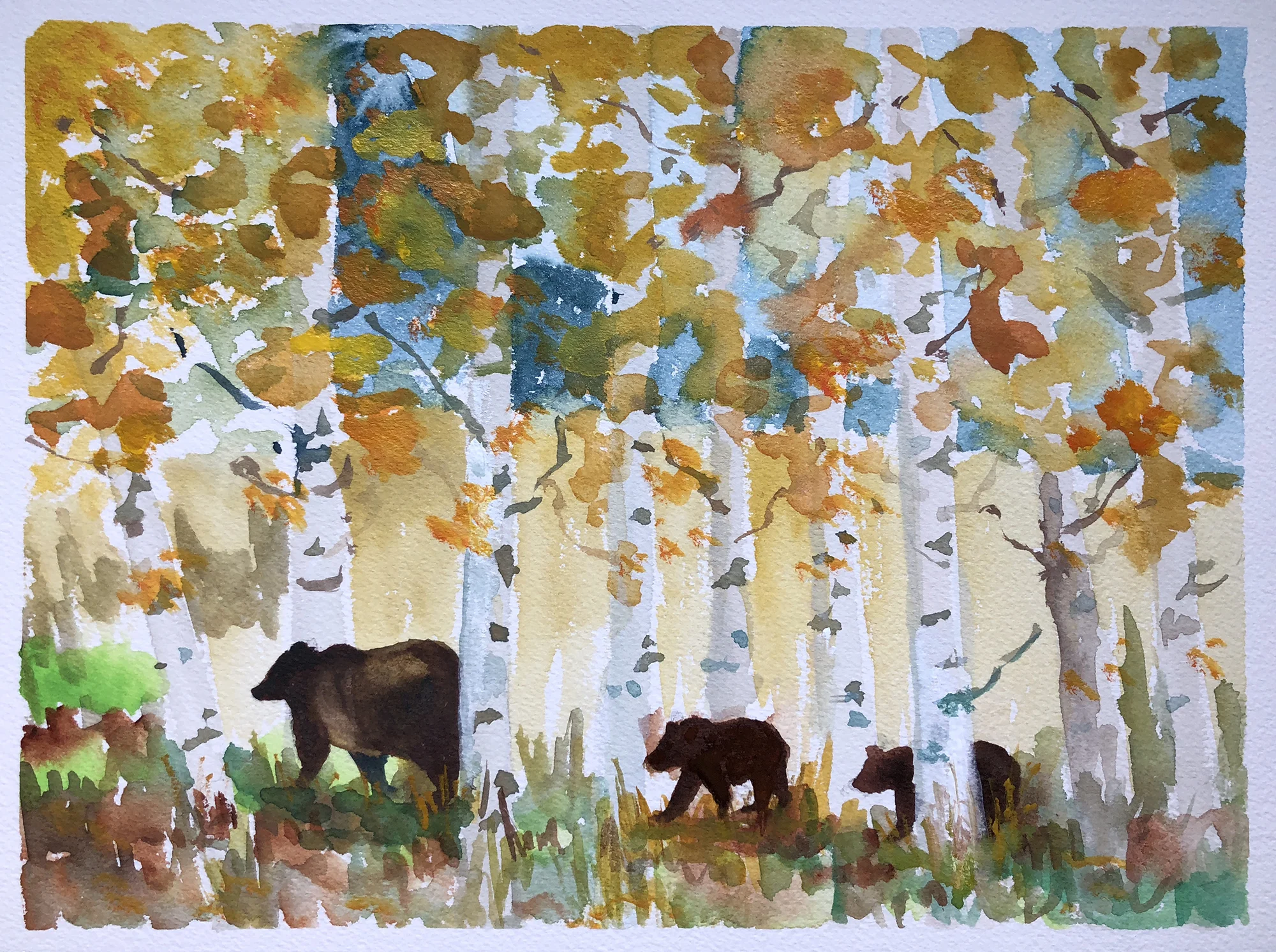 #269 - Grizzly 399 and her cubs