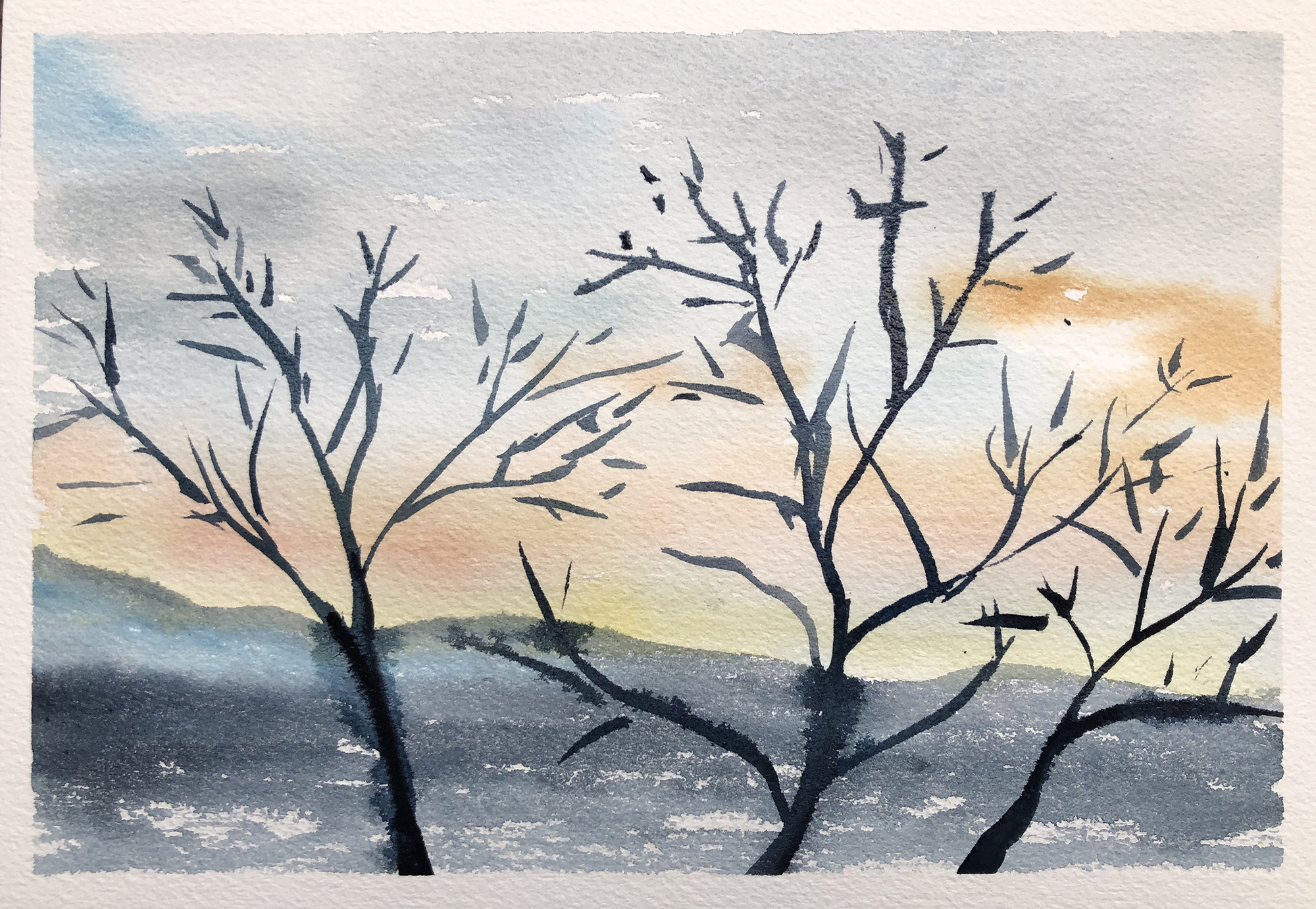 274_Steamboat sunrise.jpg