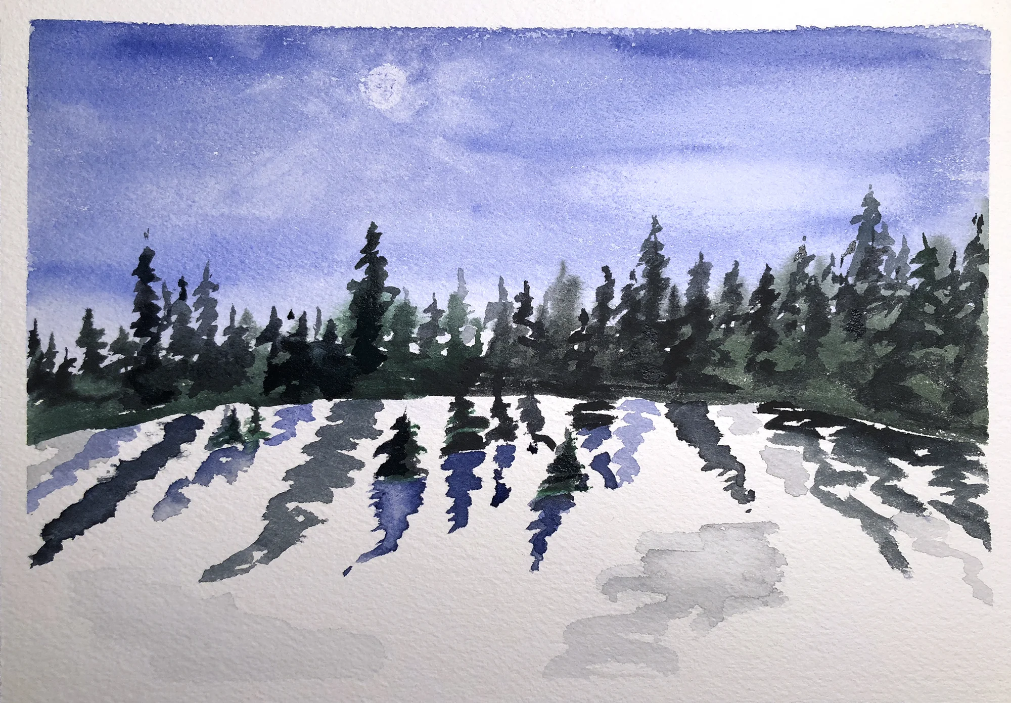 #280 - Rabbit Ears Pass Snowshoe Hike