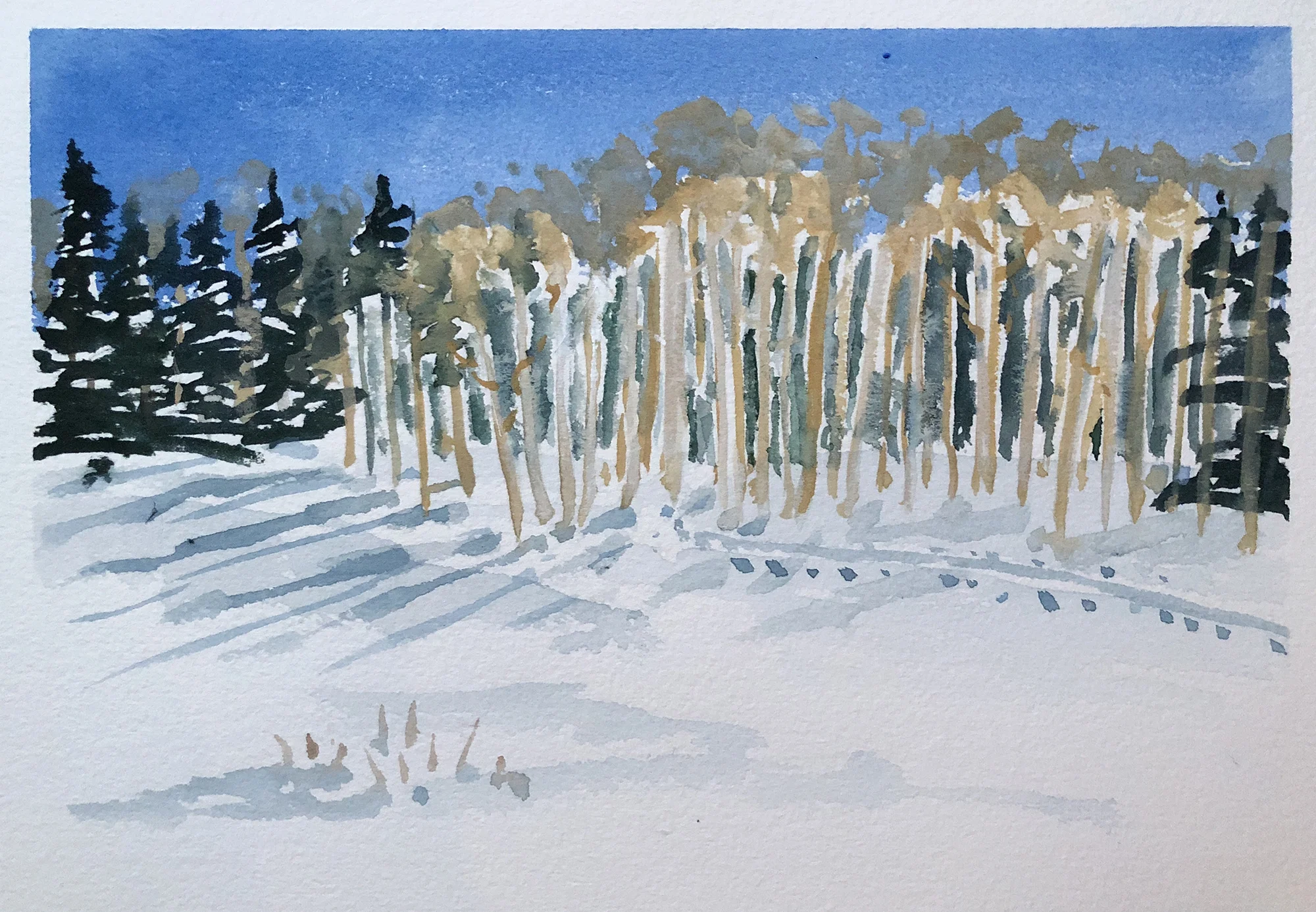#284 - Snowshoe Hike