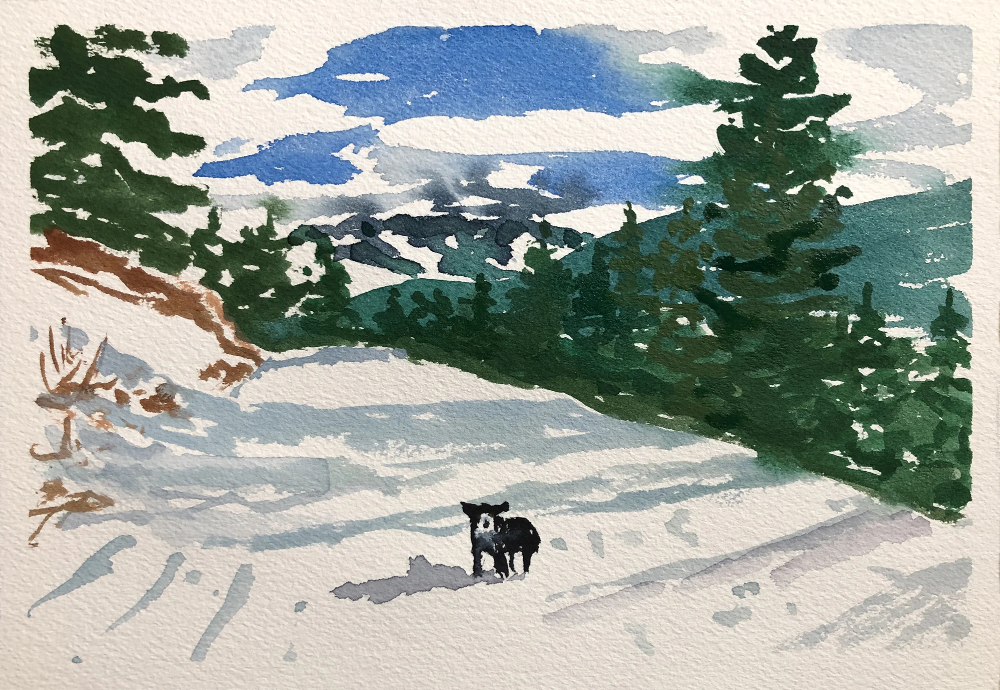 #288 - The Old Pass Road