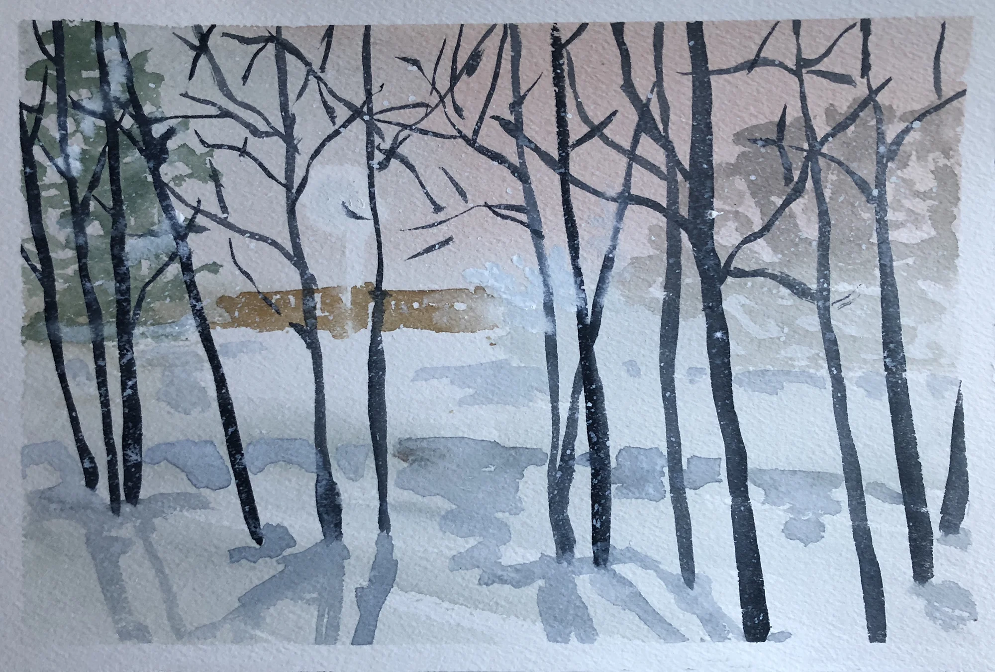 #292 - Winter Storm Warning