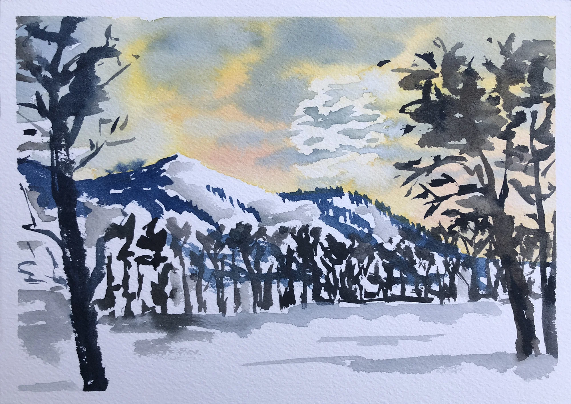 #299 - Soft Colors of the Morning