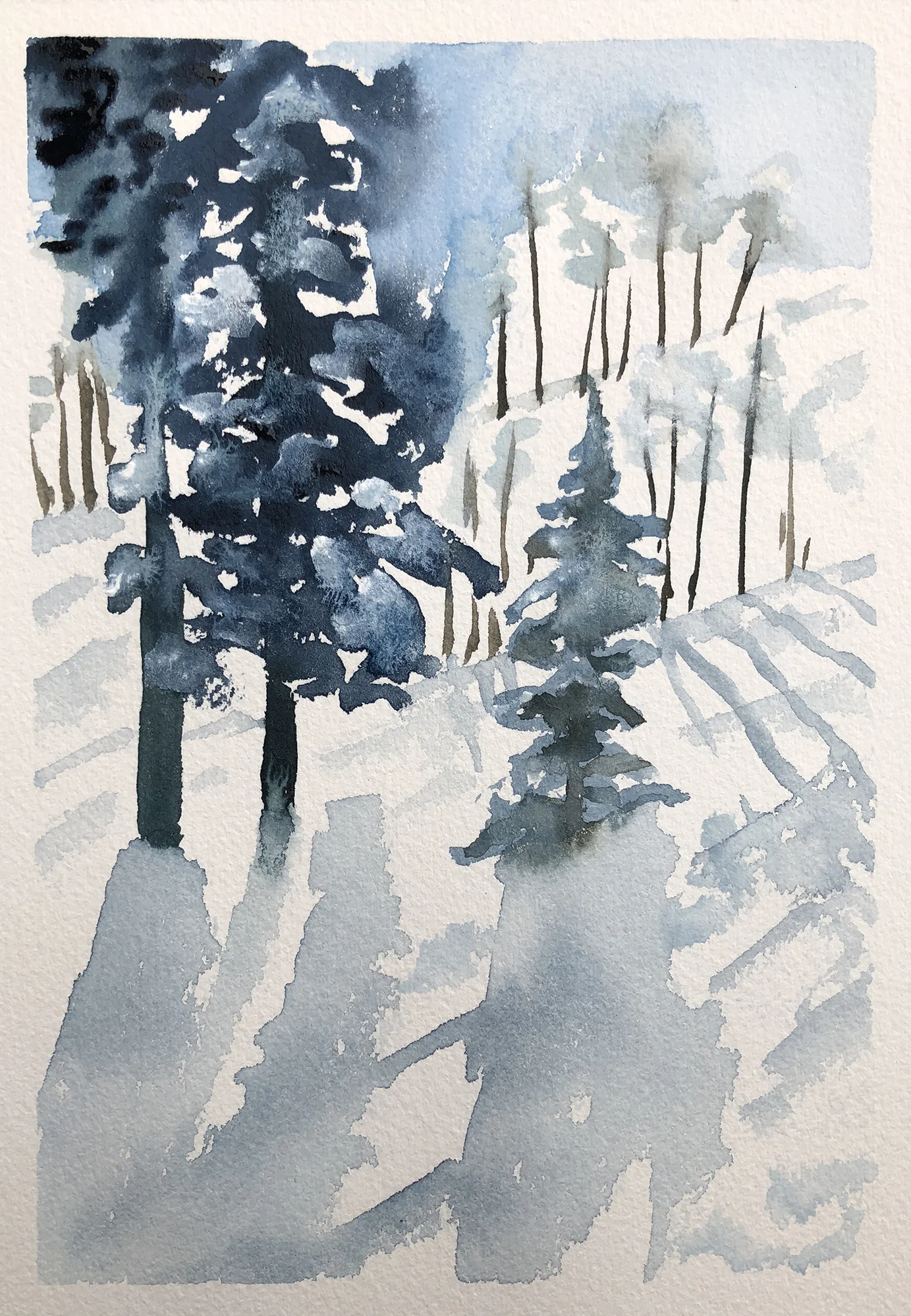 #305 - More Snowy Trees