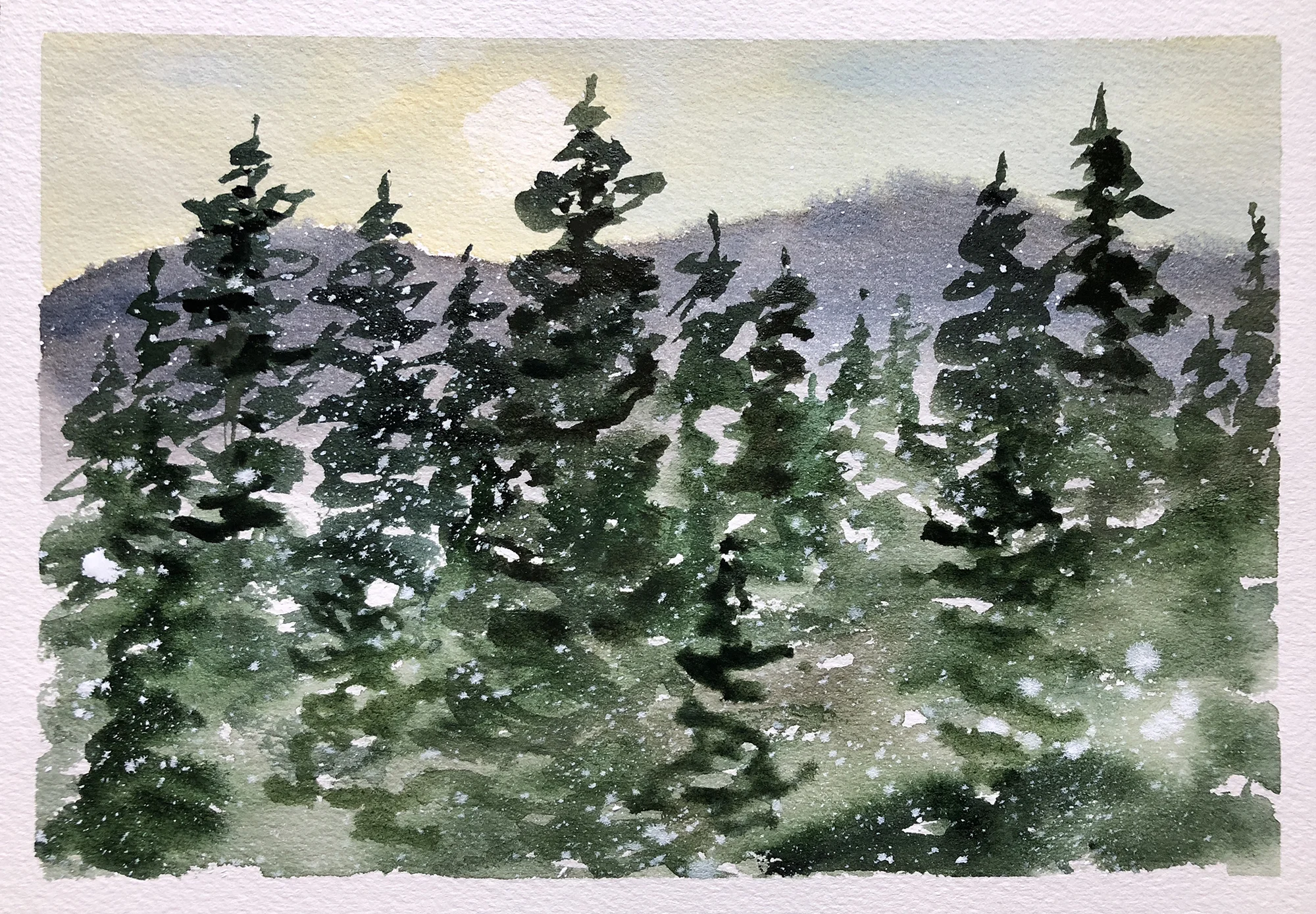 #308 - Sunday Up Cache Creek