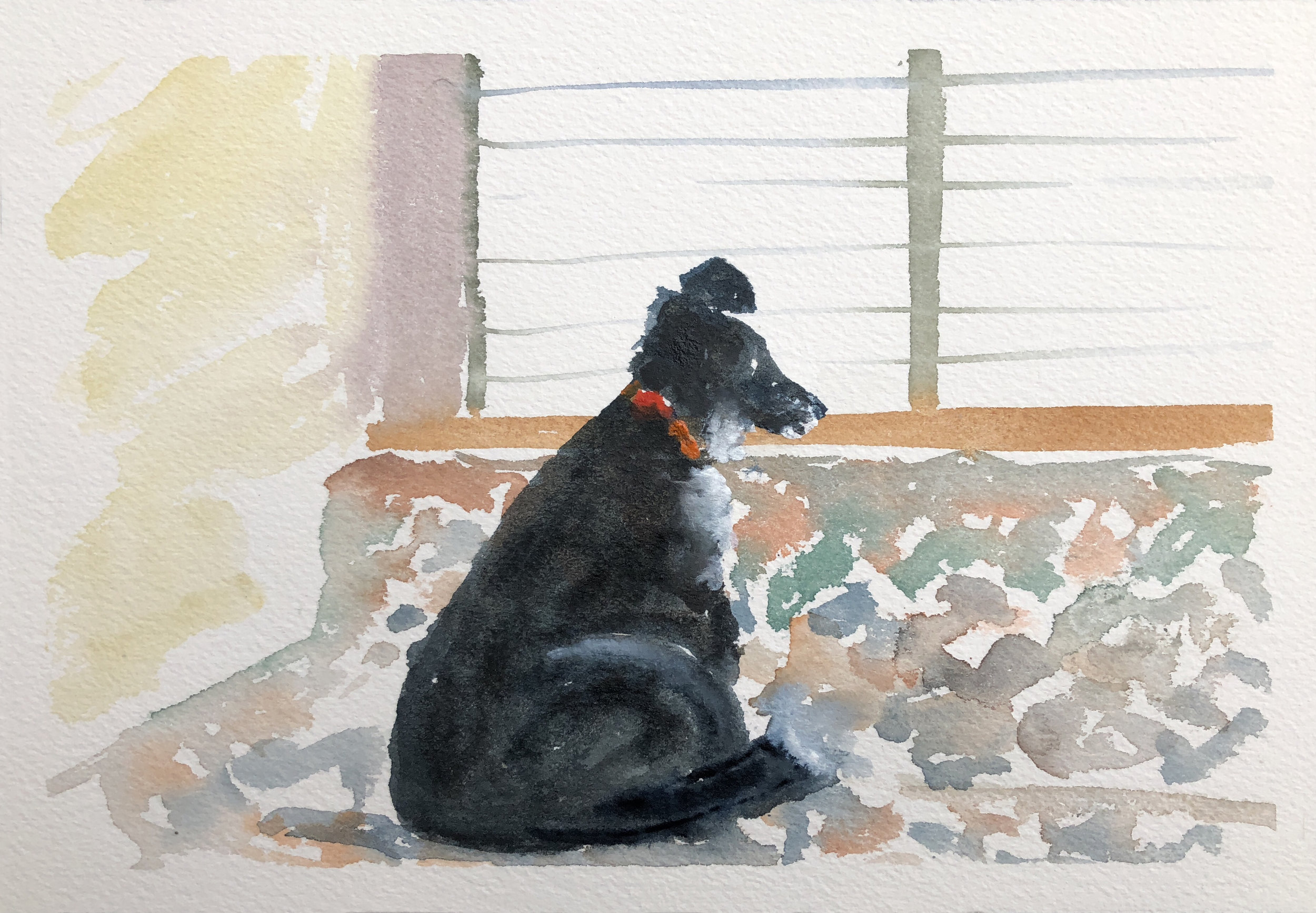 #310 - Skye on Watch