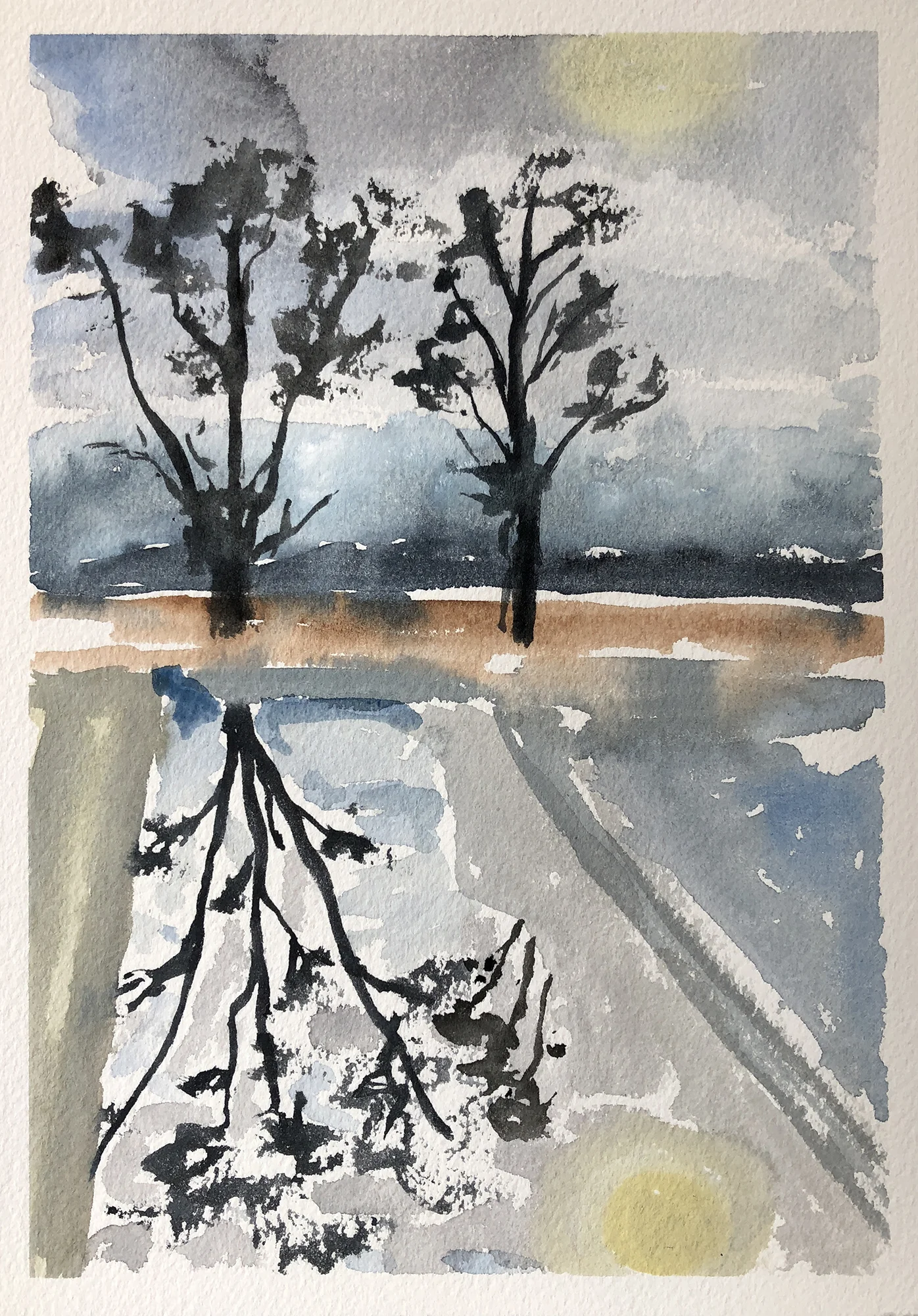 #314 - Winter Reflections