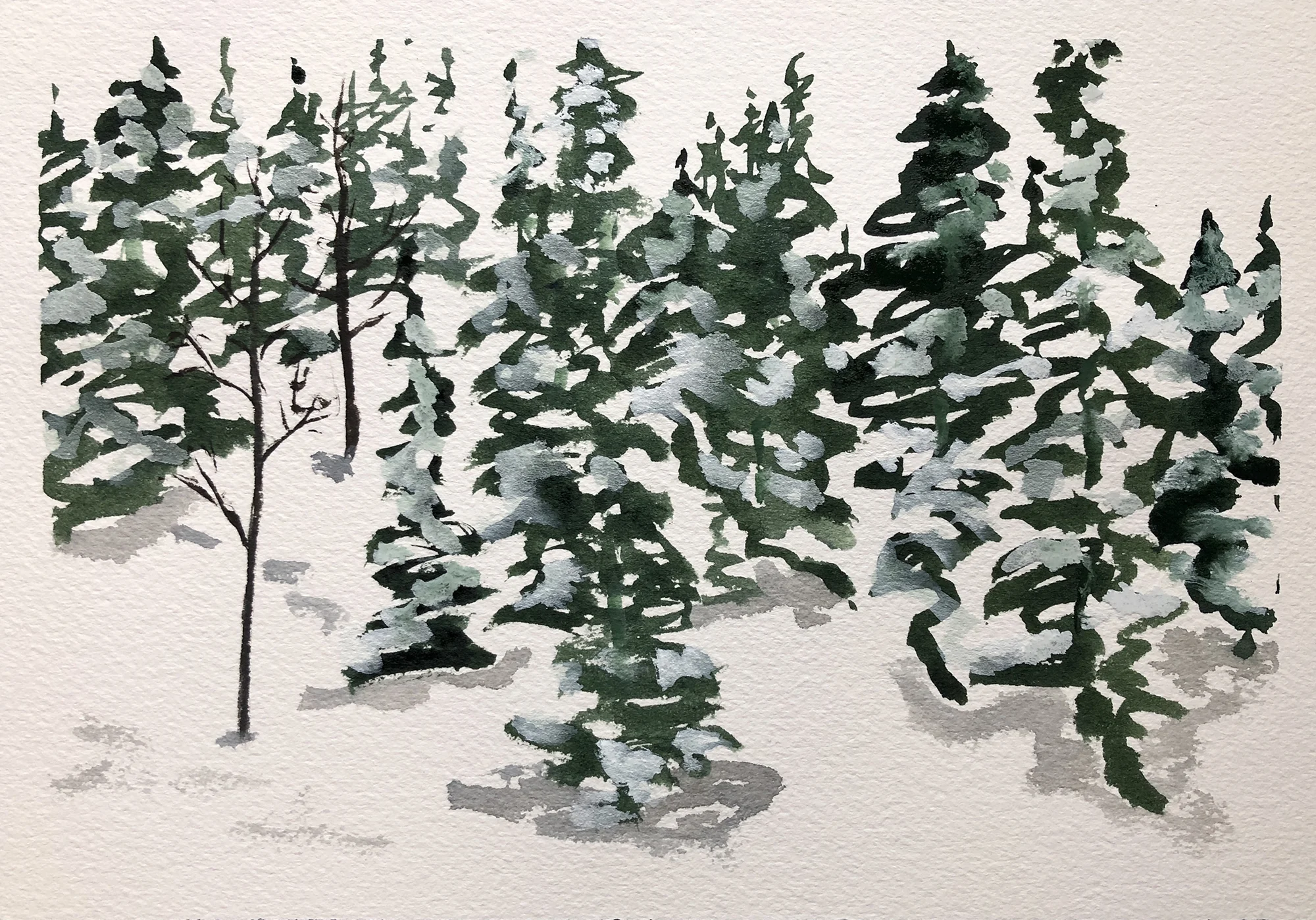 #329 - Snowy Trees
