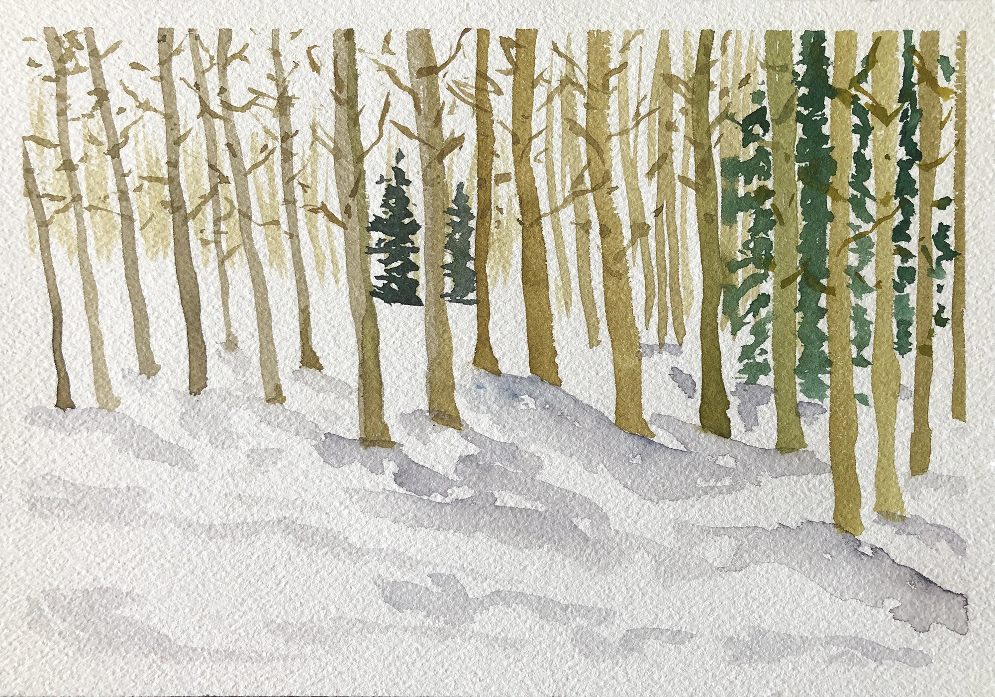 343_Park City aspens.jpg