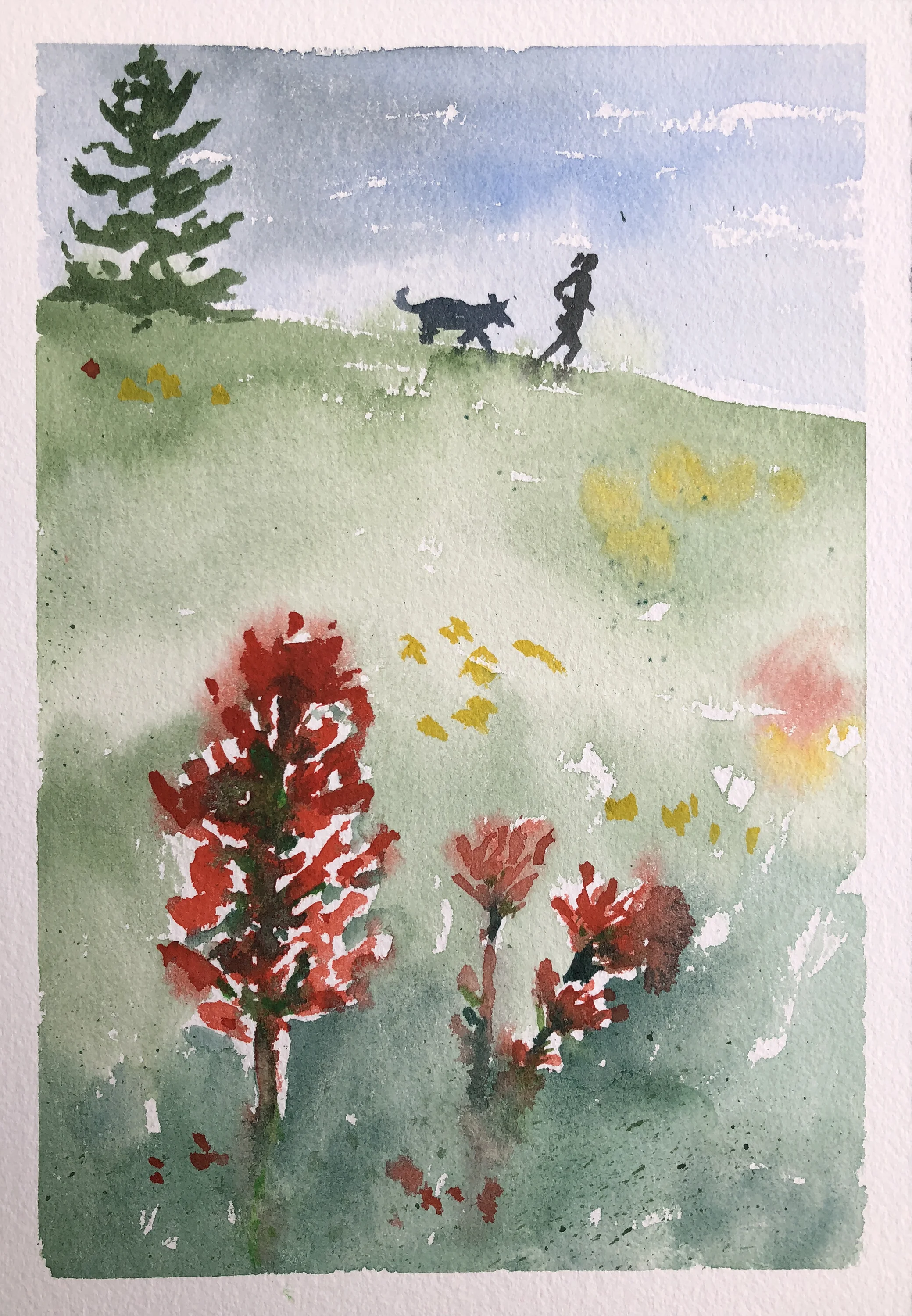 #360 - Paintbrush Hike