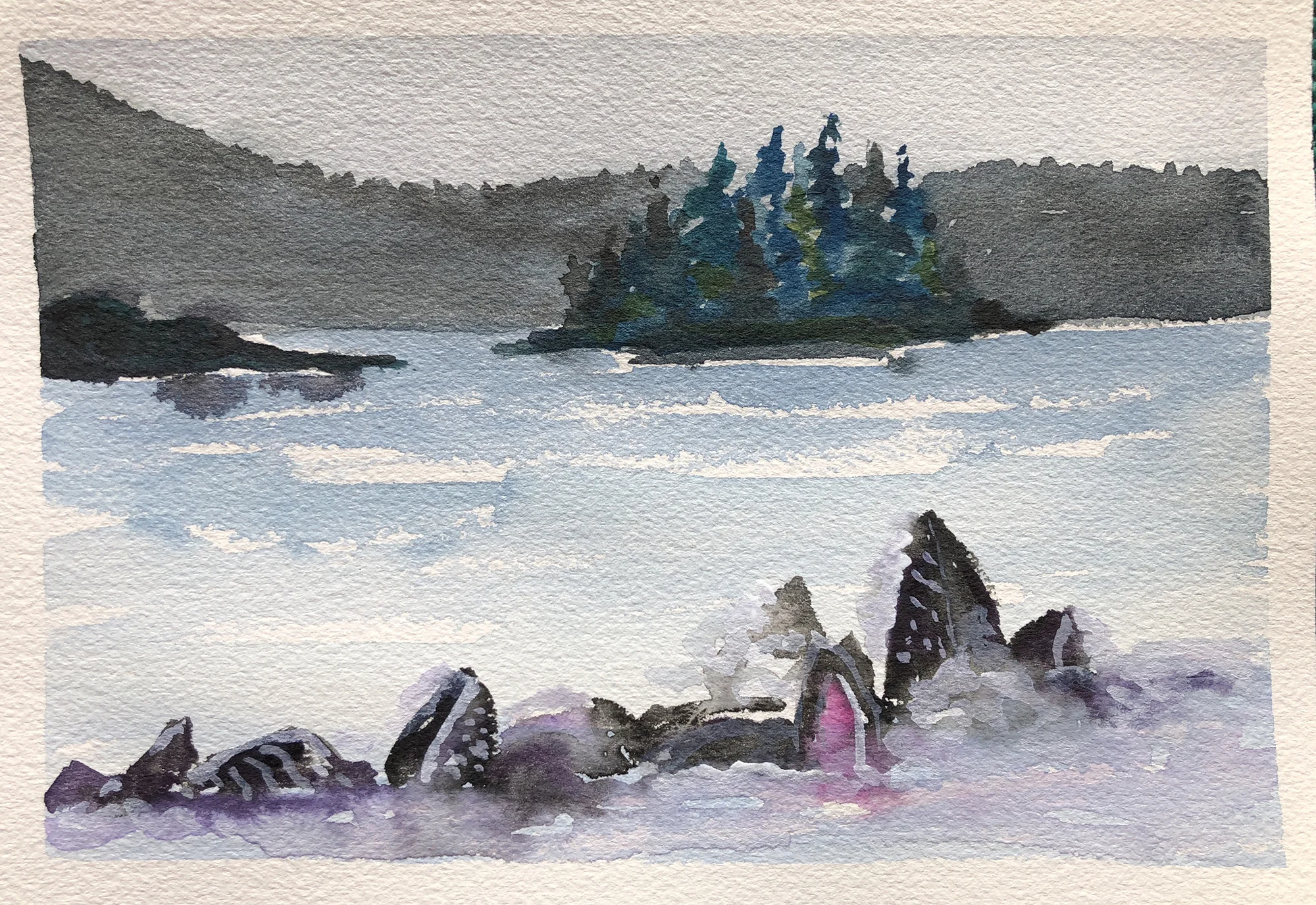 #368 - Whales Bubble Netting