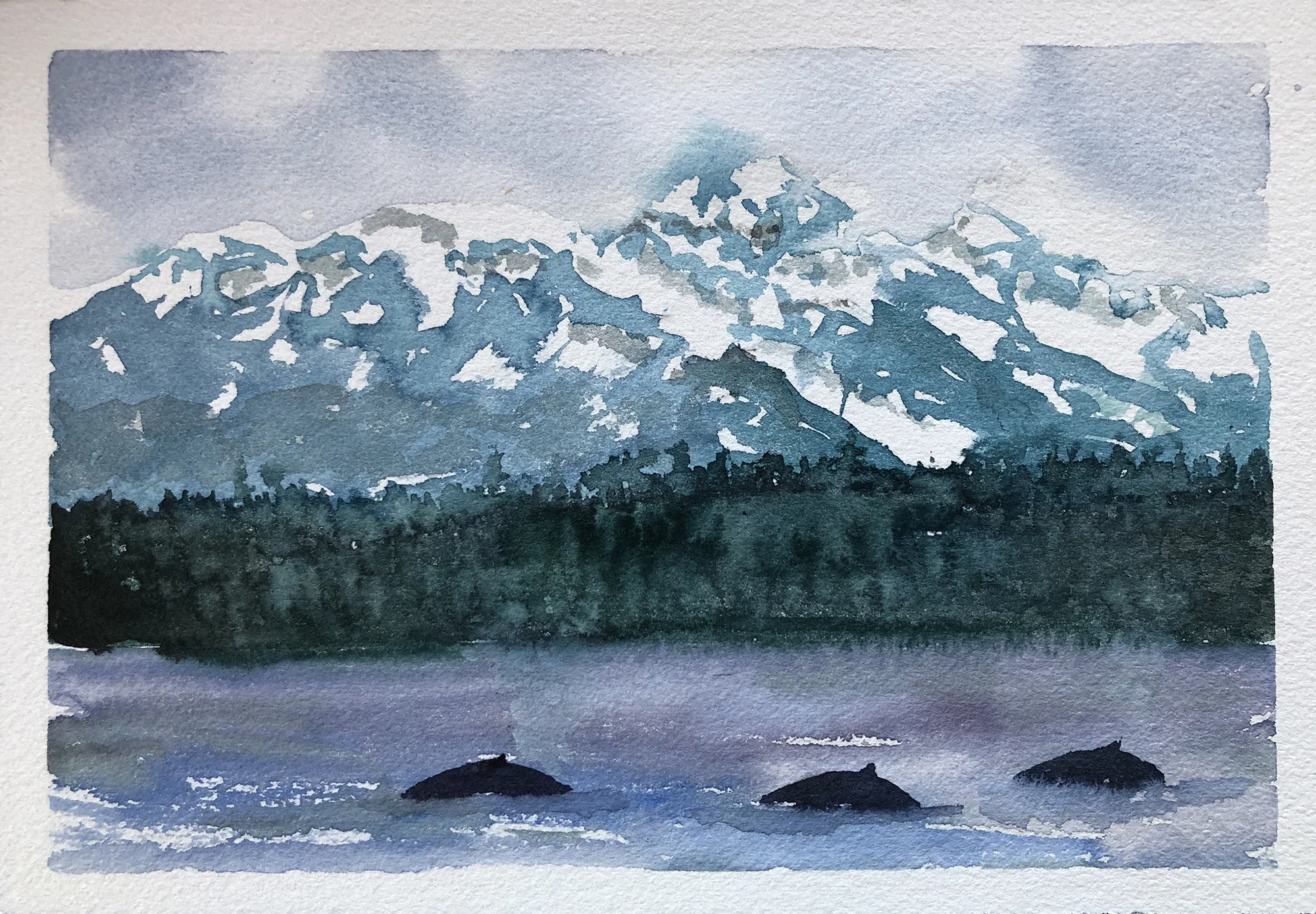 #369 - Whales Cruising By