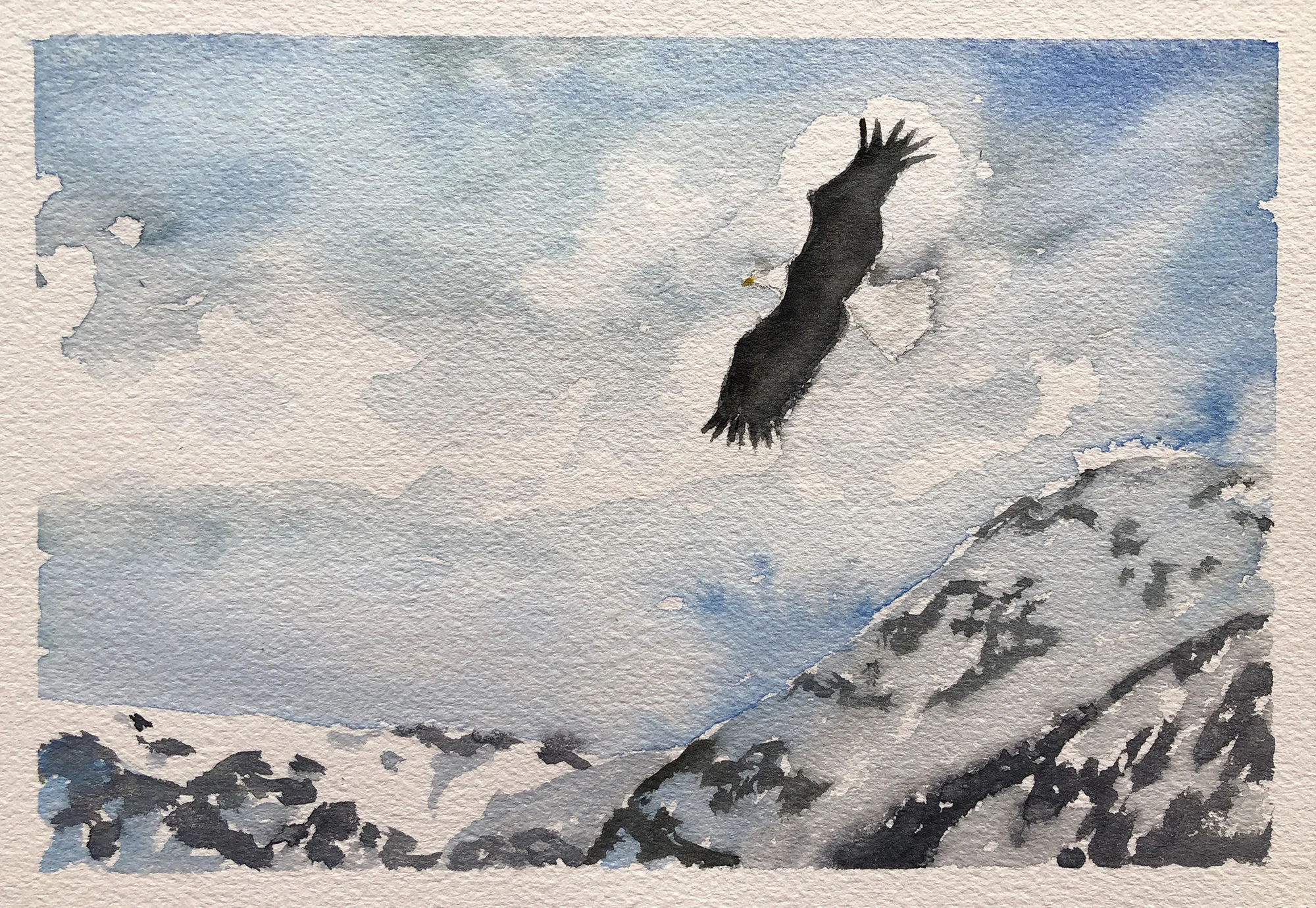 #372 - Lone Eagle Soaring