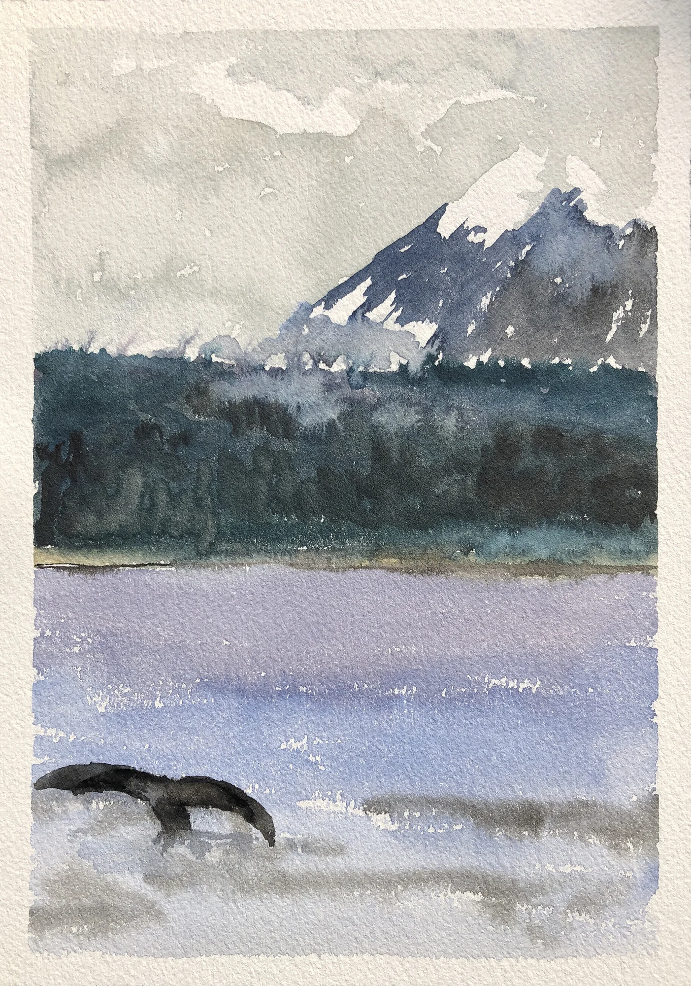 374_Whale Fluke_Mt. Edgecumbe.jpg