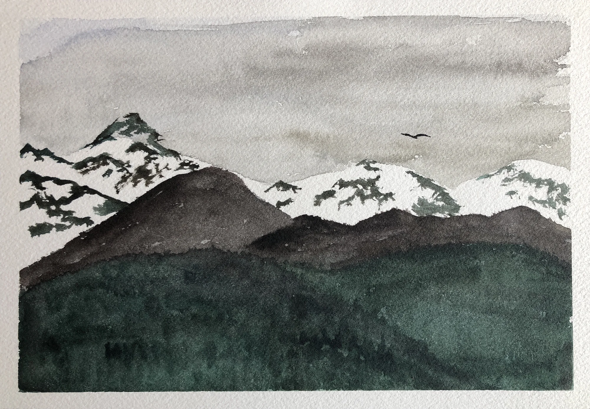 #376 - Sitka Landscape