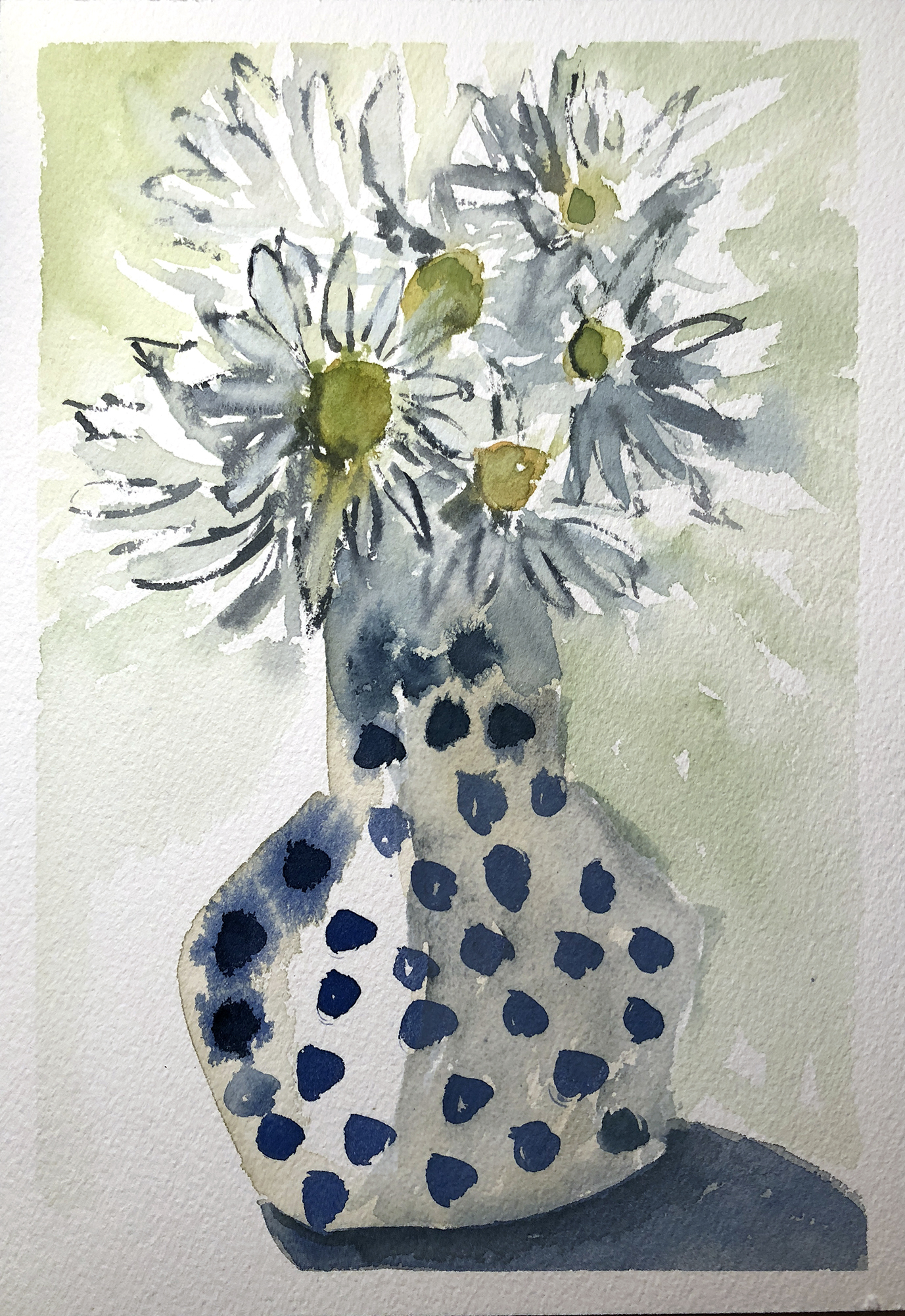 #380 - Daisies