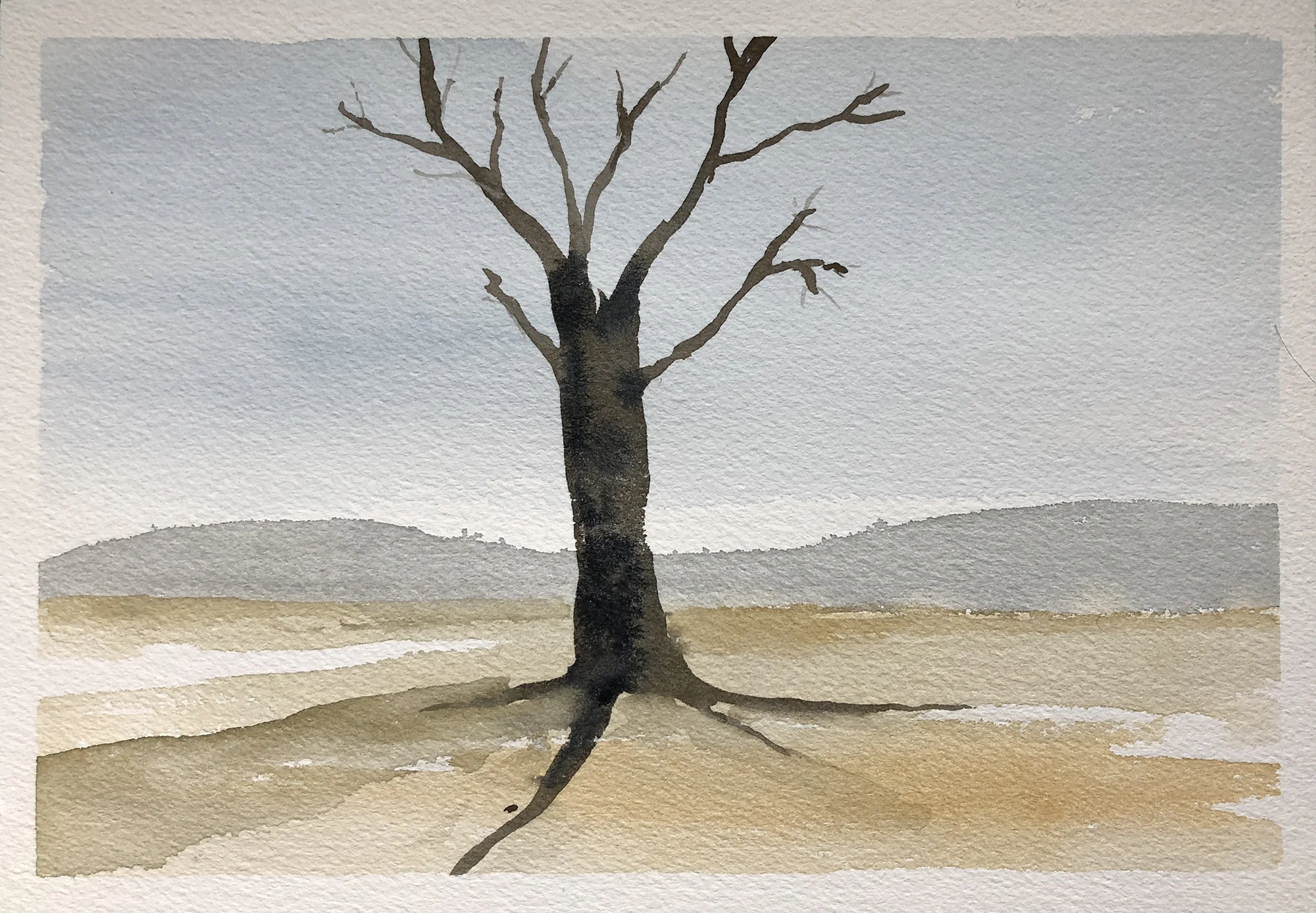 381_the lone tree.jpg