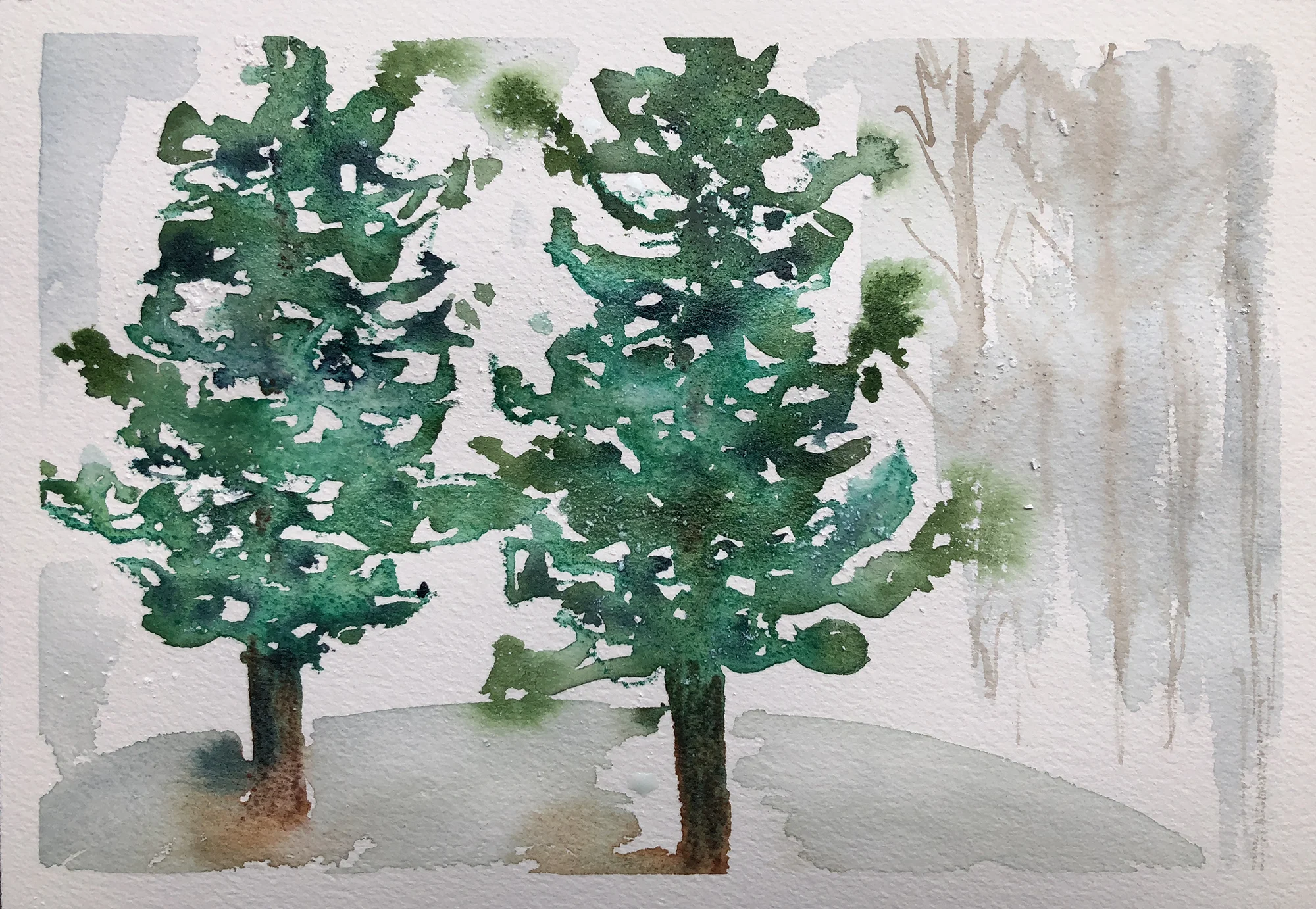 382_Spring Snow.jpg